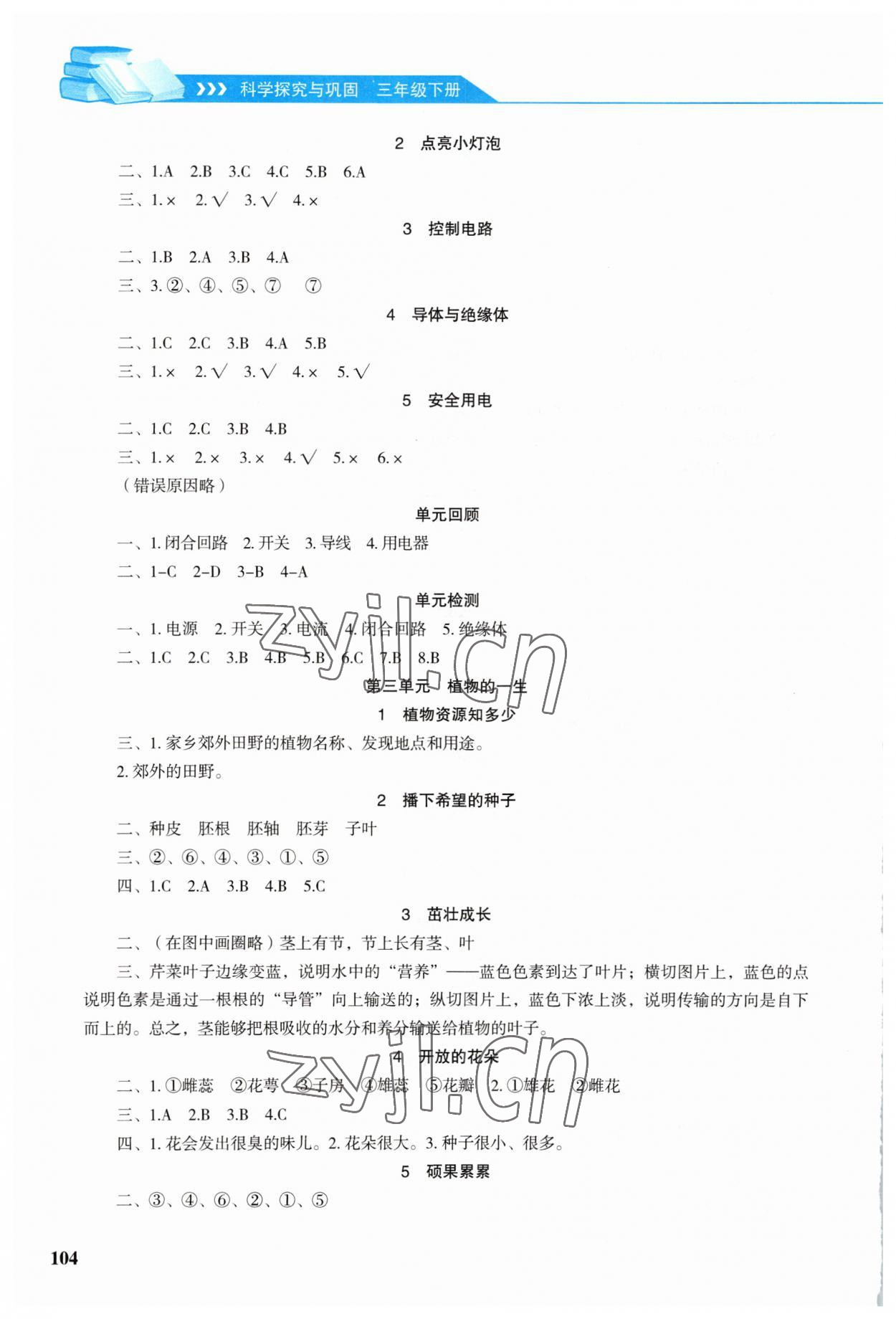 2023年科學(xué)探究與鞏固三年級(jí)下冊(cè)大象版 第2頁