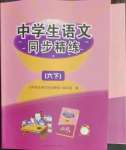 2023年中学生语文同步精练六年级下册人教版54制