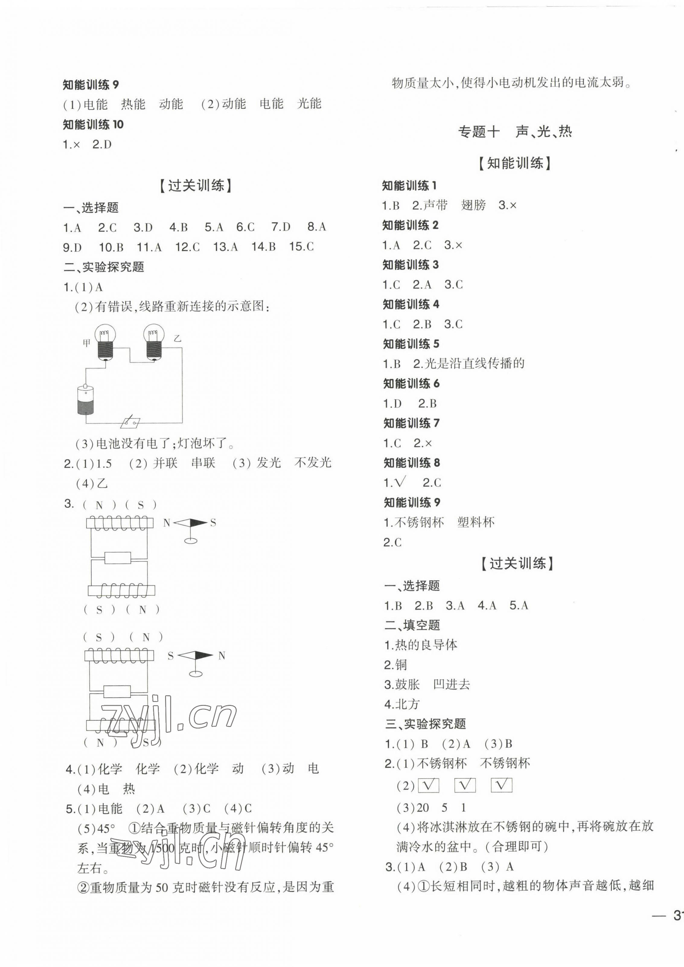 2023年小升初總復(fù)習(xí)湖南師范大學(xué)出版社六年級(jí)科學(xué)教科版 第5頁(yè)