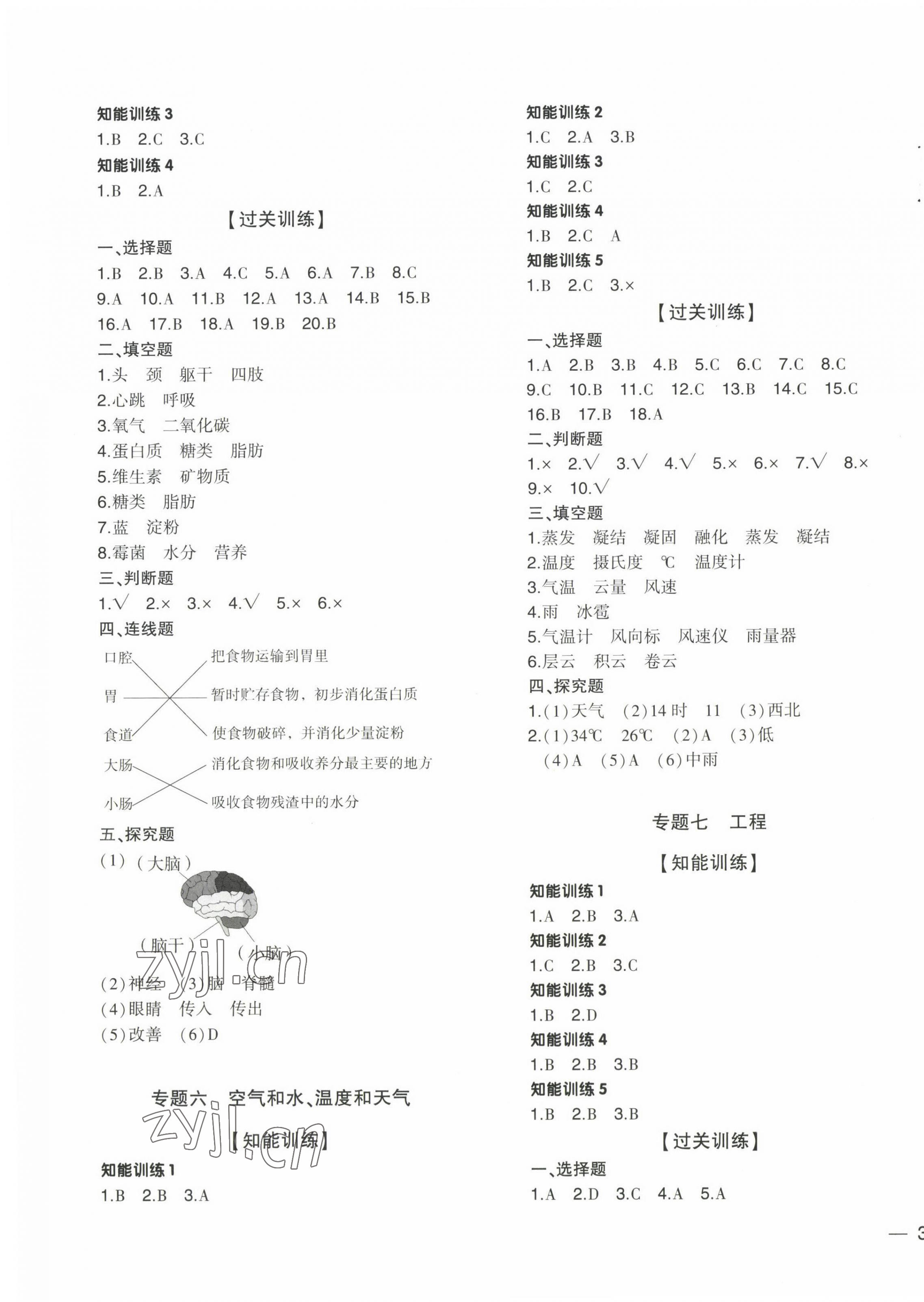 2023年小升初總復(fù)習(xí)湖南師范大學(xué)出版社六年級(jí)科學(xué)教科版 第3頁(yè)