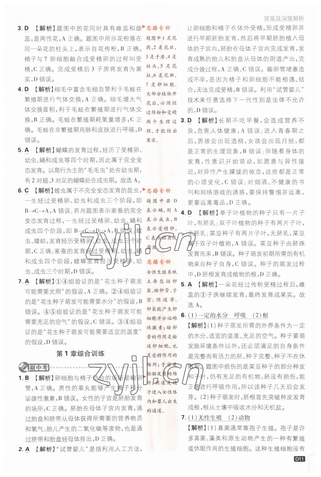 2023年初中必刷題八年級科學下冊浙教版浙江專版 第11頁
