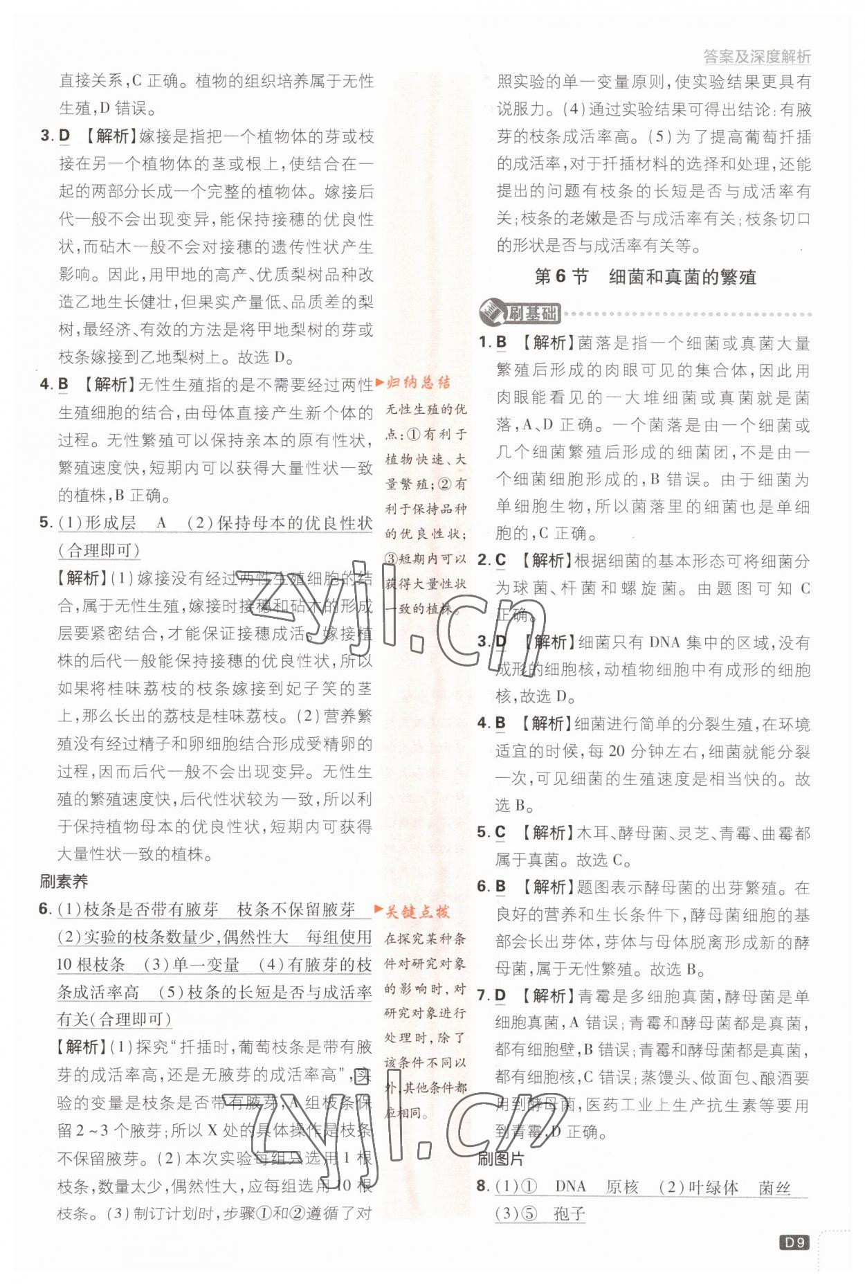 2023年初中必刷題八年級科學下冊浙教版浙江專版 第9頁