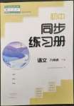 2023年同步練習(xí)冊大象出版社九年級語文下冊人教版