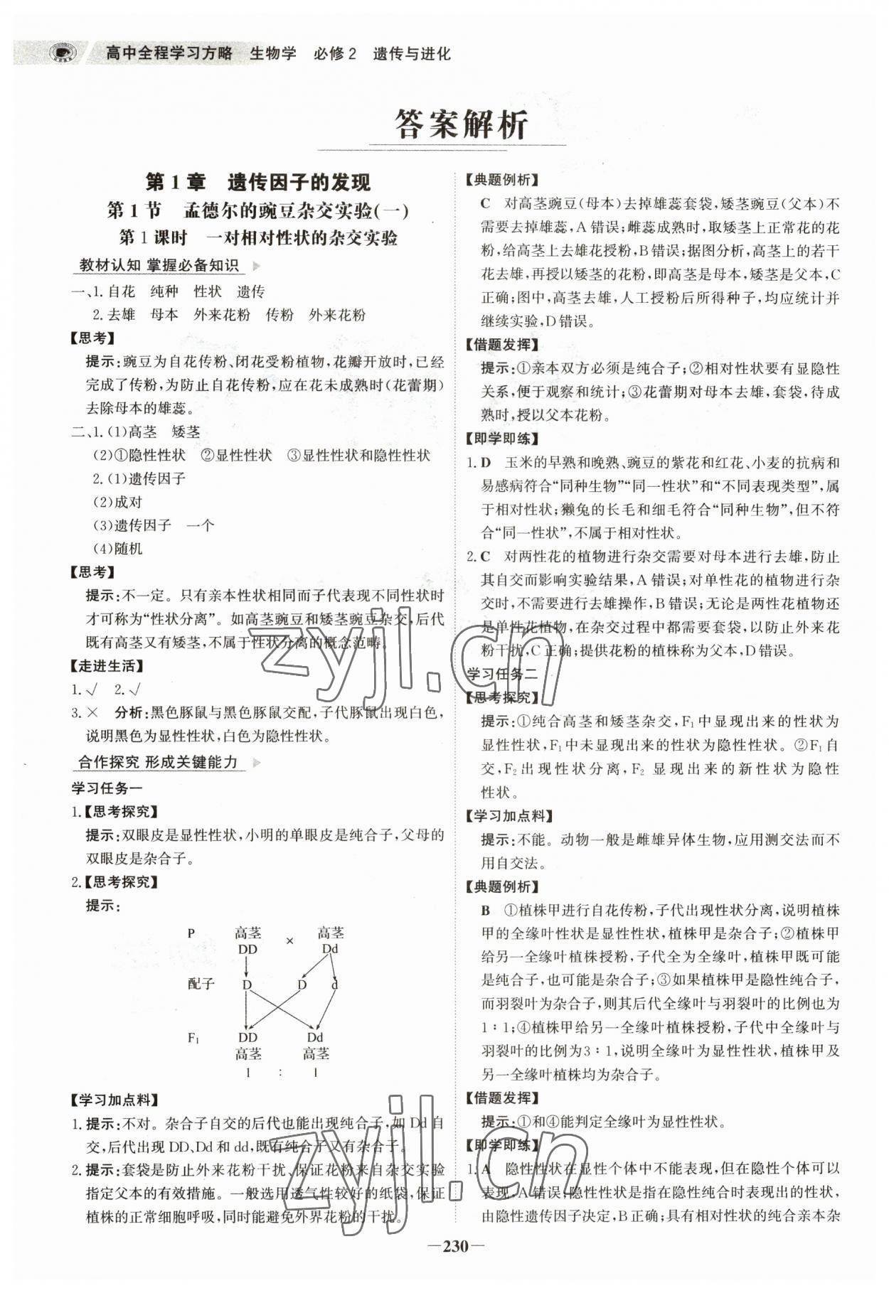 2023年世紀(jì)金榜高中全程學(xué)習(xí)方略高中生物必修2人教版 參考答案第1頁