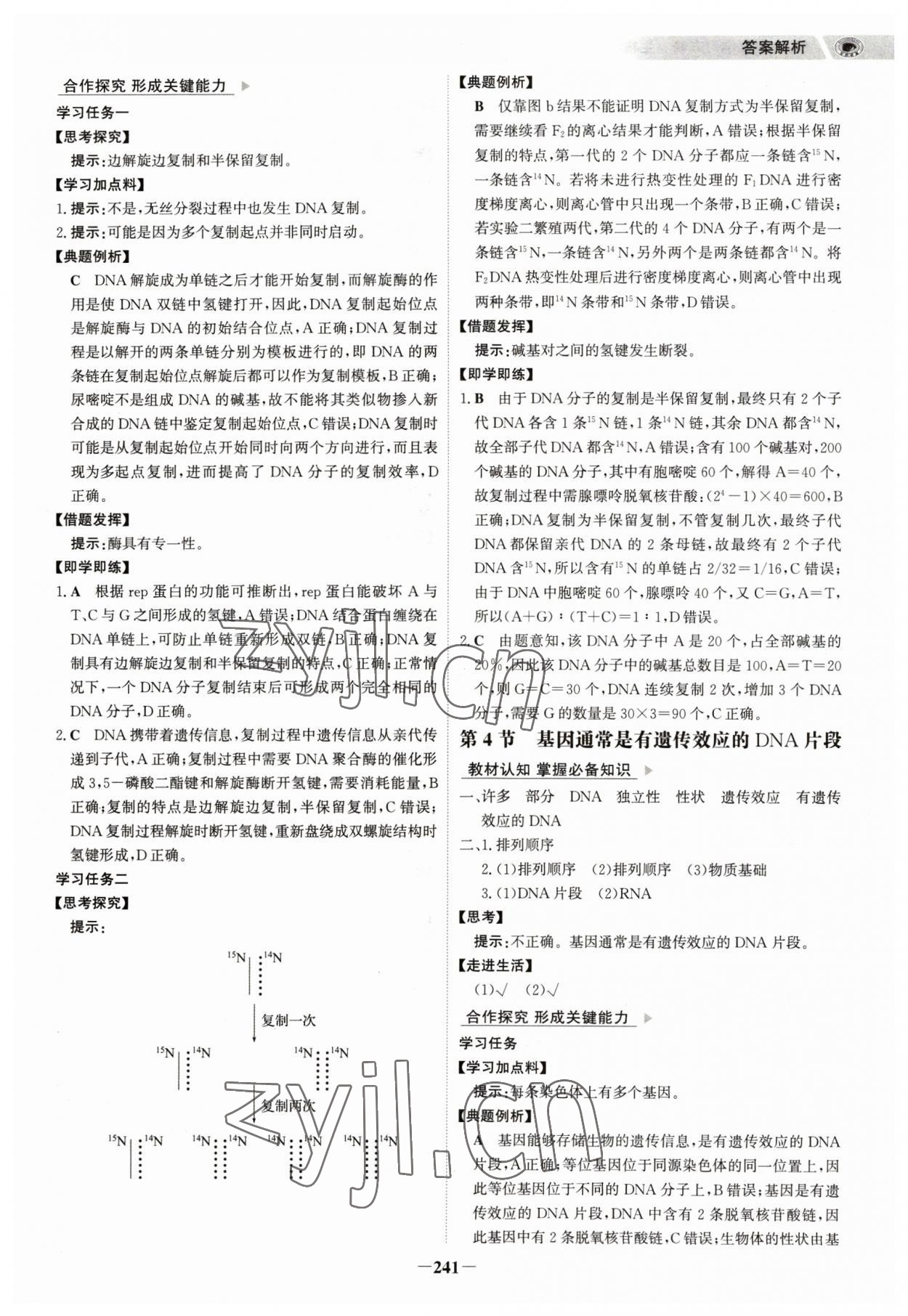 2023年世紀(jì)金榜高中全程學(xué)習(xí)方略高中生物必修2人教版 參考答案第12頁(yè)