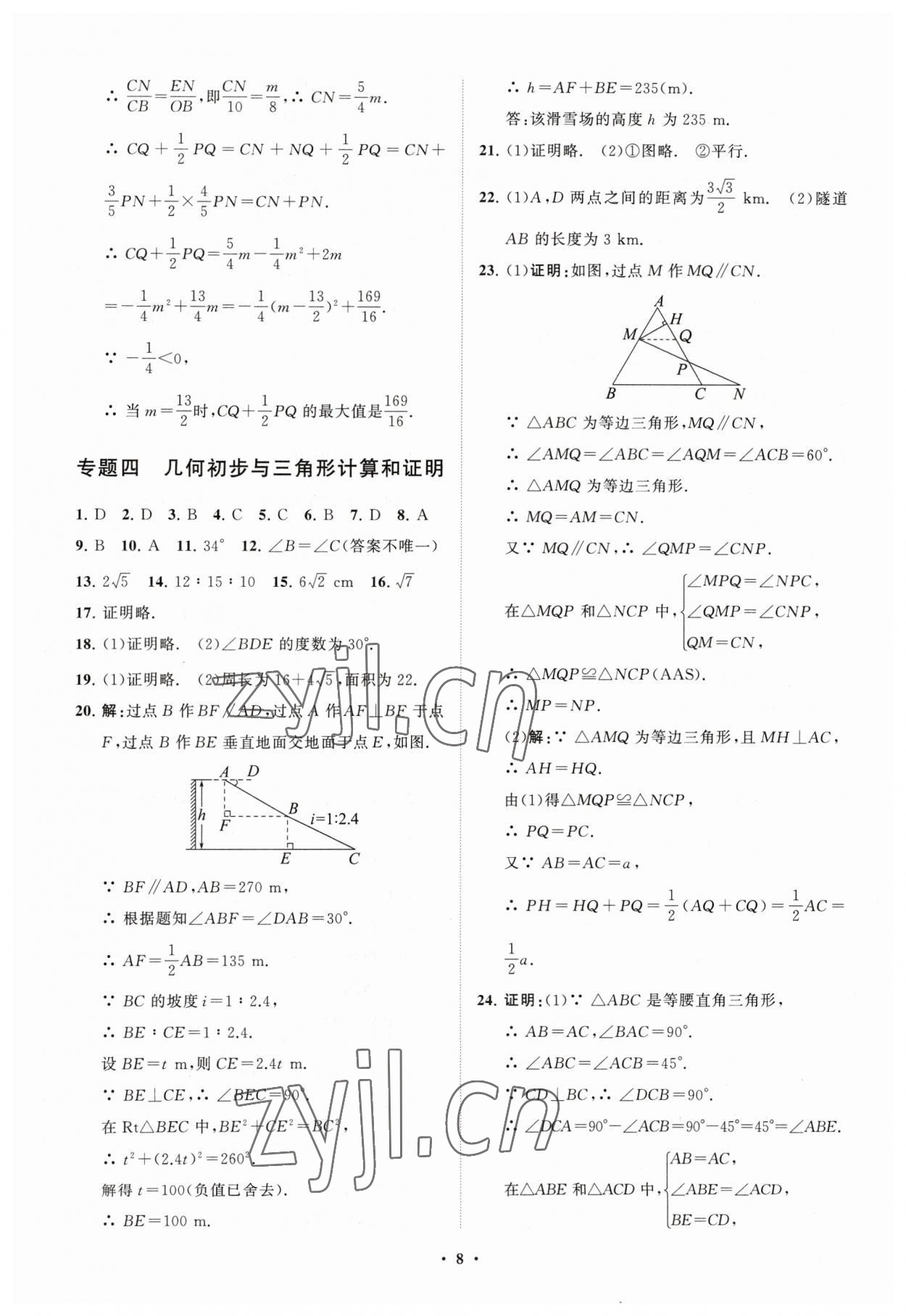 2023年初中總復習手冊分層專題卷數學五四制煙臺專版 參考答案第8頁