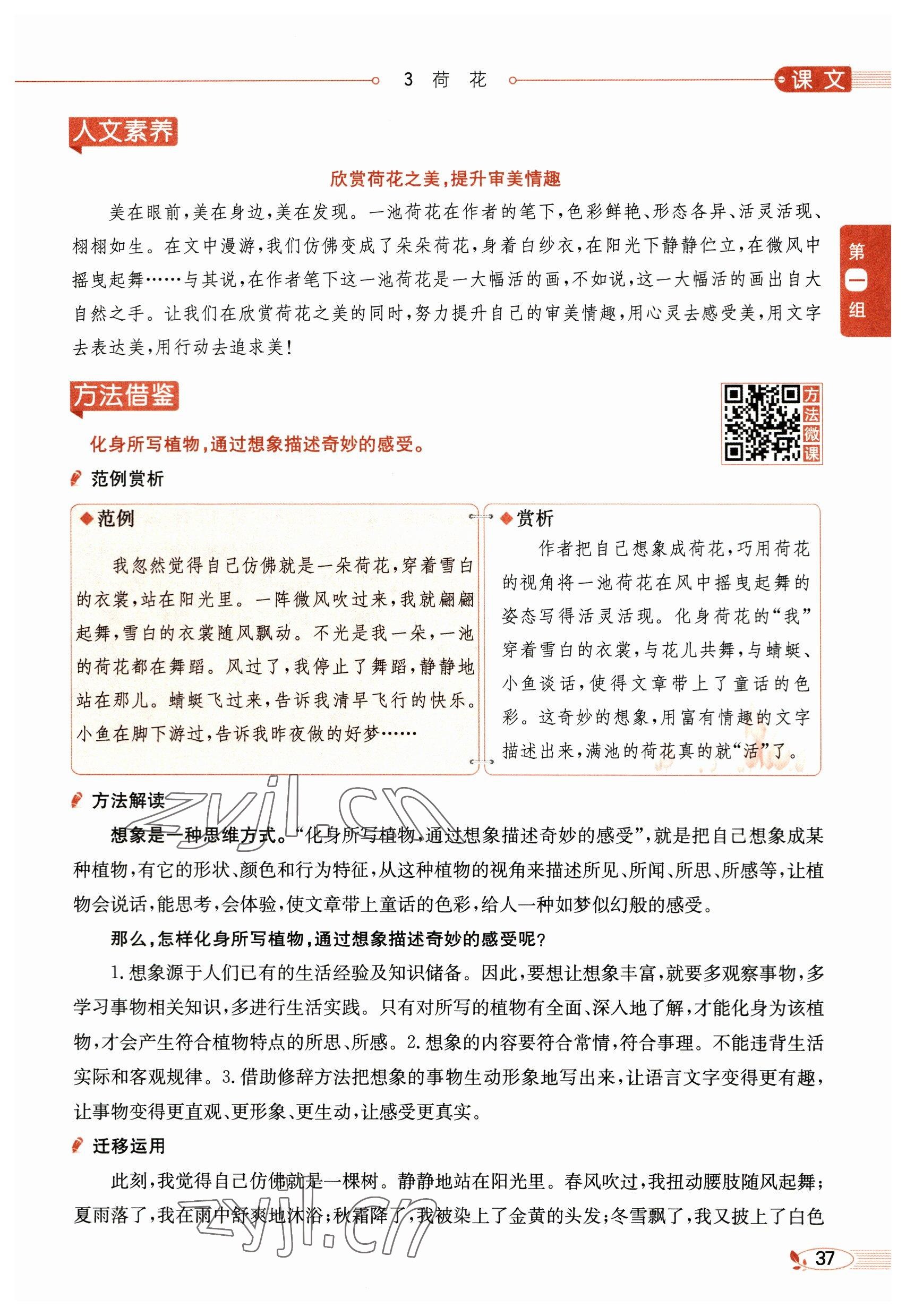 2023年教材課本三年級(jí)語(yǔ)文下冊(cè)人教版54制 參考答案第37頁(yè)