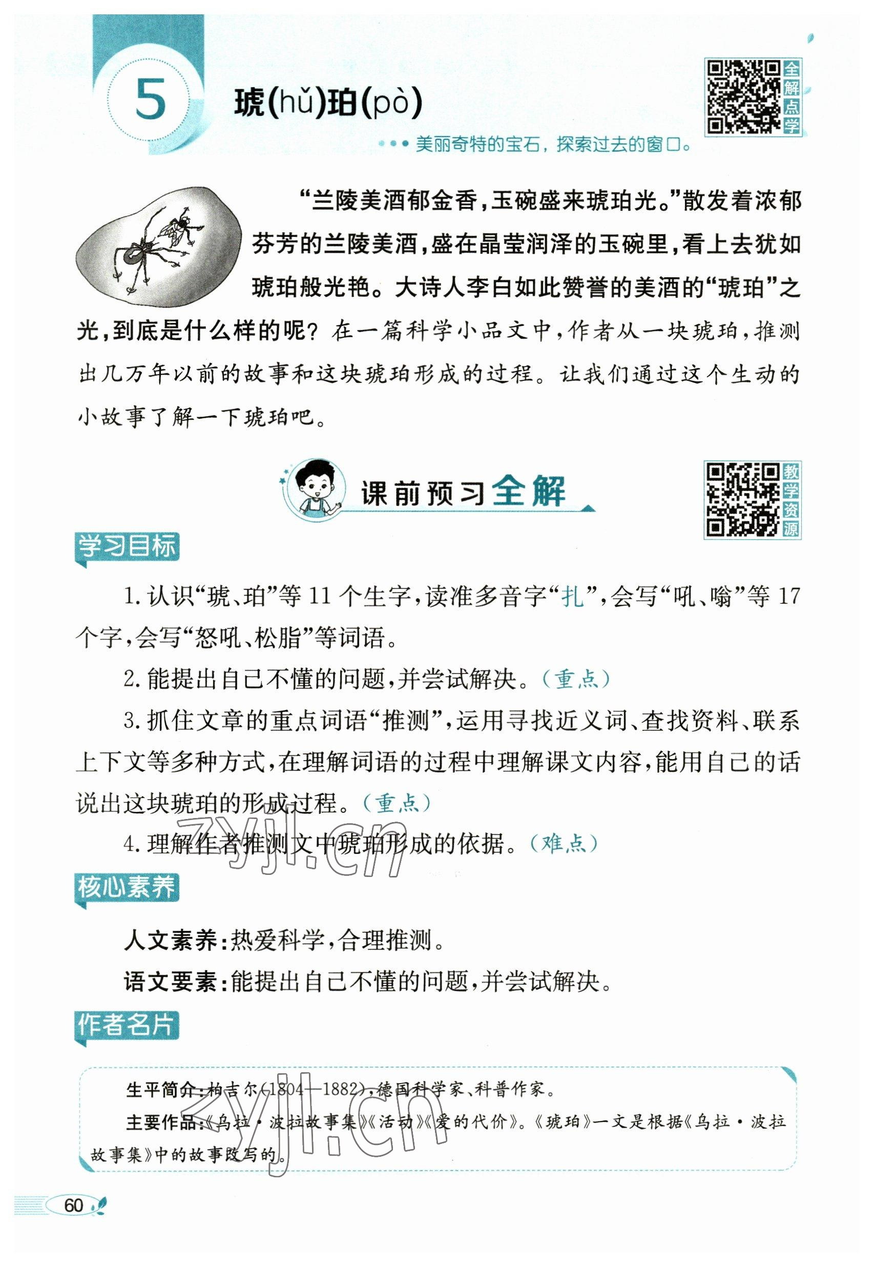 2023年教材課本四年級語文下冊人教版54制 參考答案第60頁