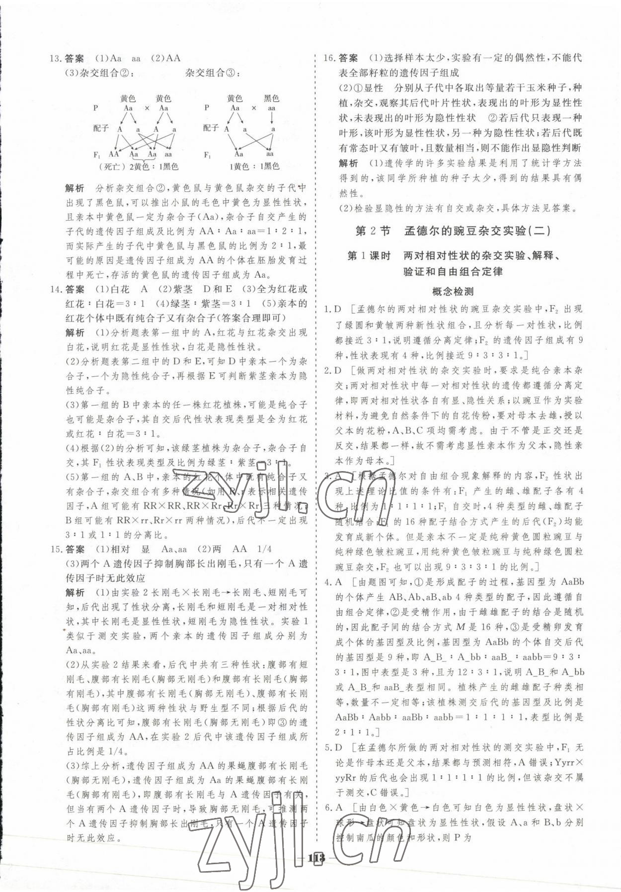 2023年高中新课程学习作业与测评高中生物必修2人教版 参考答案第4页