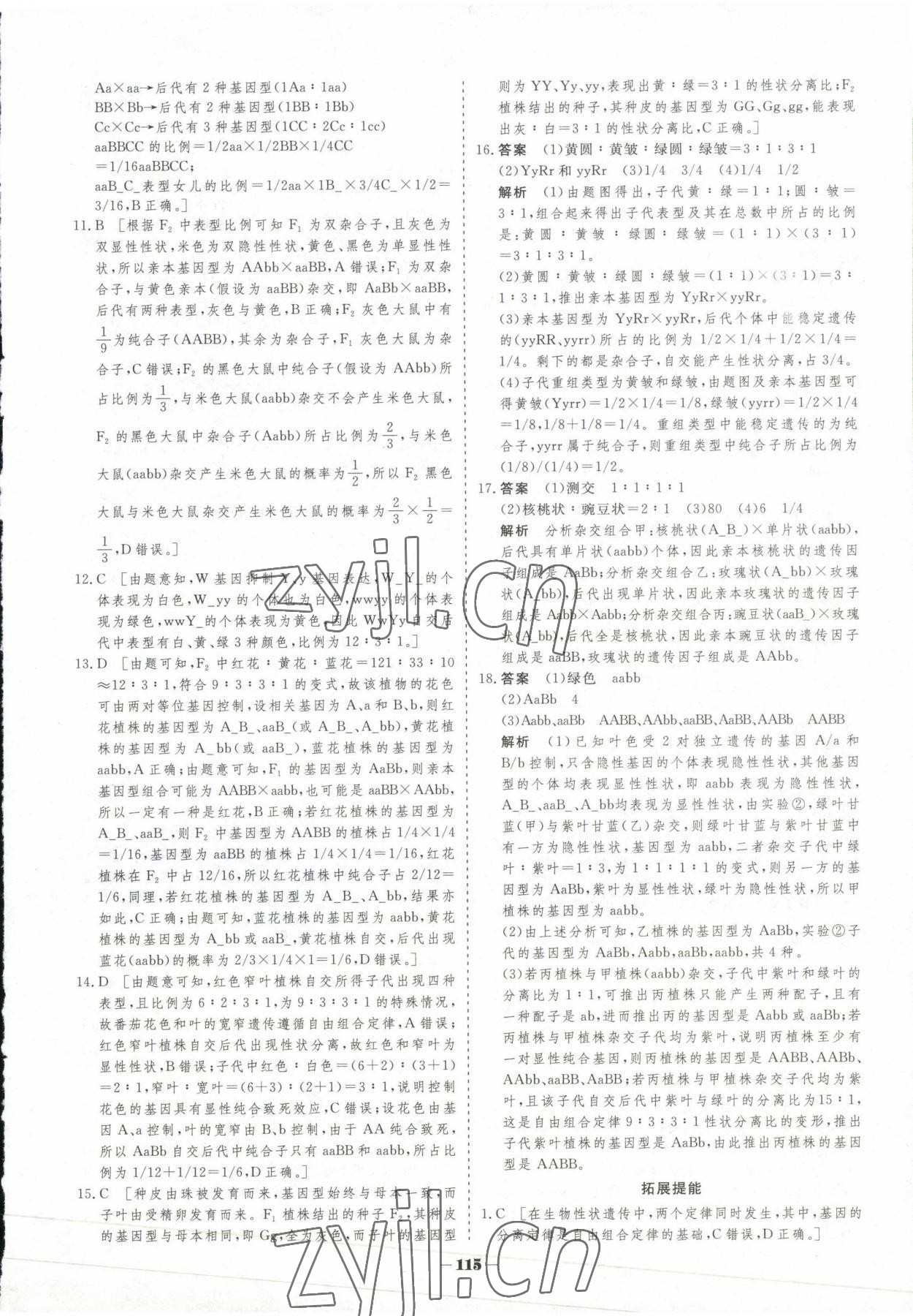 2023年高中新課程學(xué)習(xí)作業(yè)與測評高中生物必修2人教版 參考答案第6頁