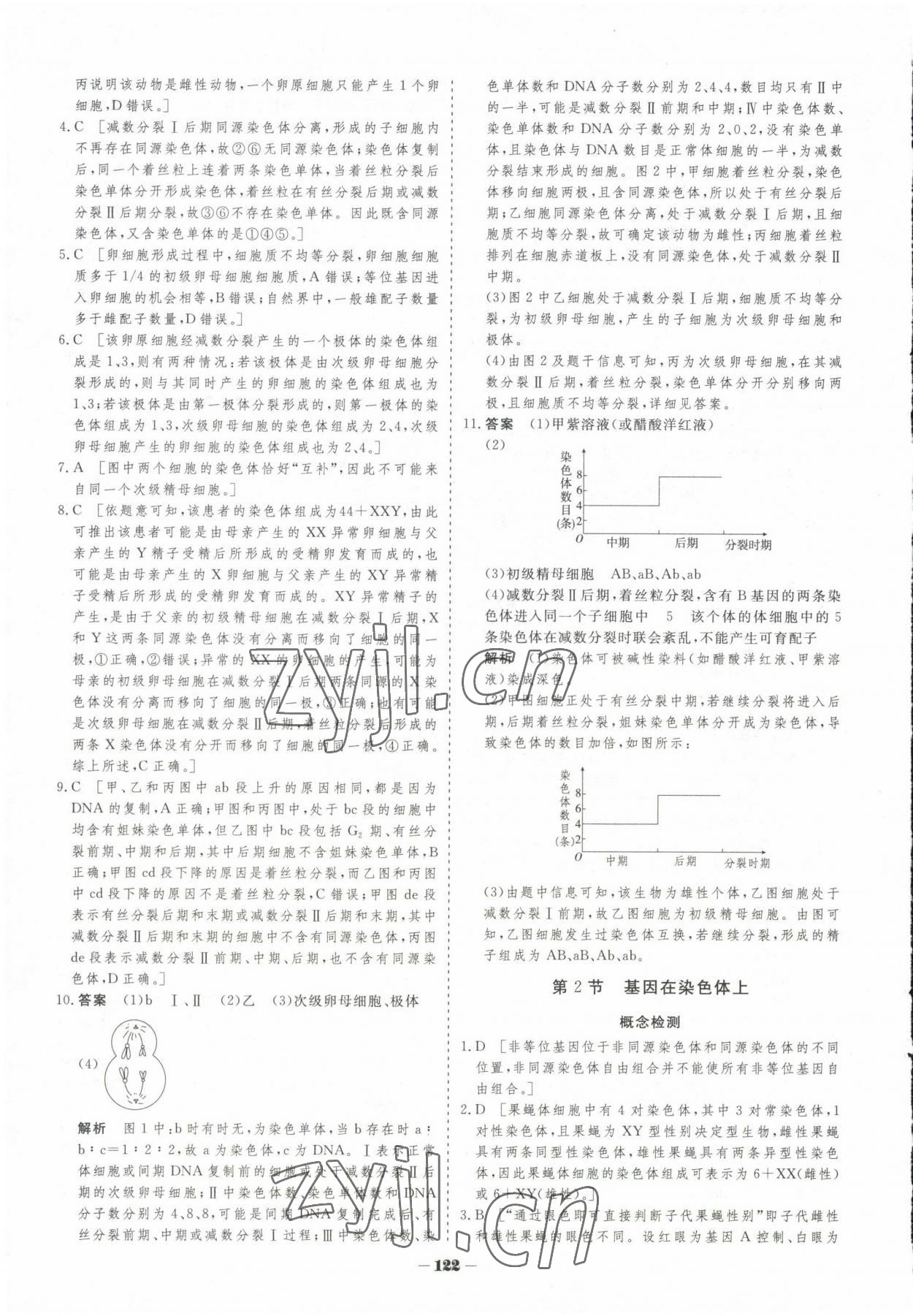 2023年高中新課程學(xué)習(xí)作業(yè)與測(cè)評(píng)高中生物必修2人教版 參考答案第13頁(yè)