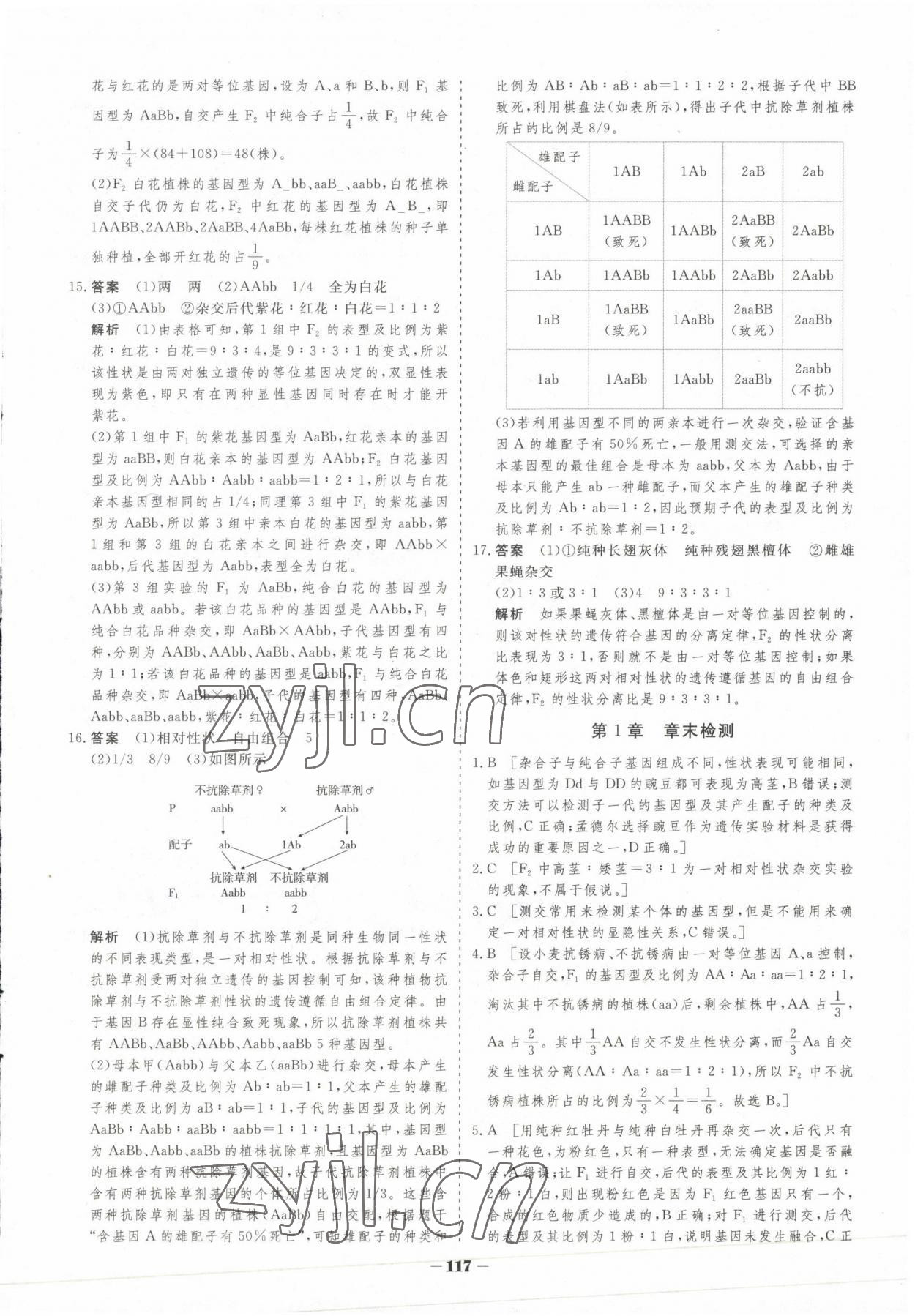 2023年高中新課程學習作業(yè)與測評高中生物必修2人教版 參考答案第8頁