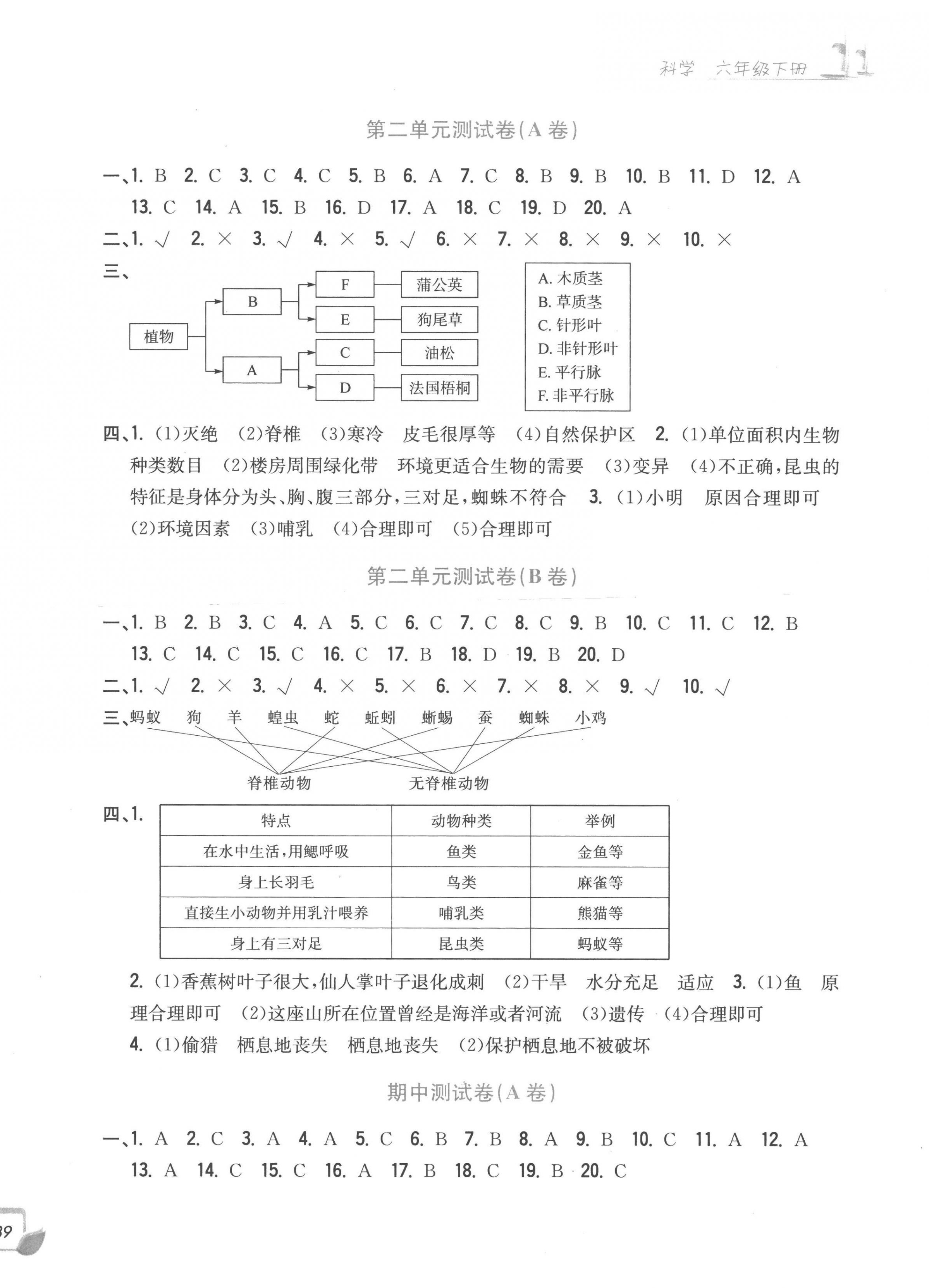 2023年學(xué)力測評小學(xué)生單元測試卷六年級科學(xué)下冊教科版 第2頁