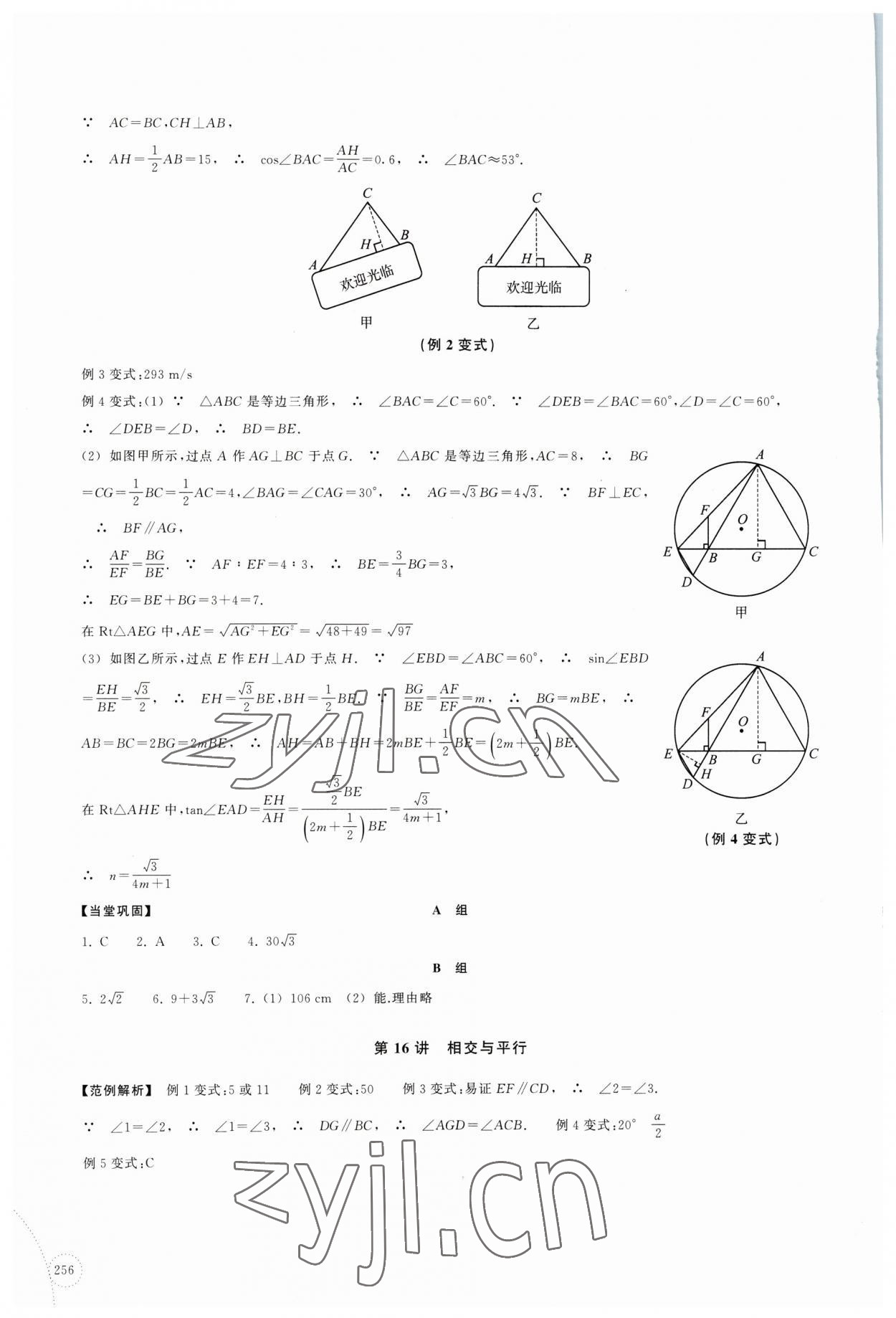 2023年單元學習指導與練習復習資源中考數學 參考答案第8頁