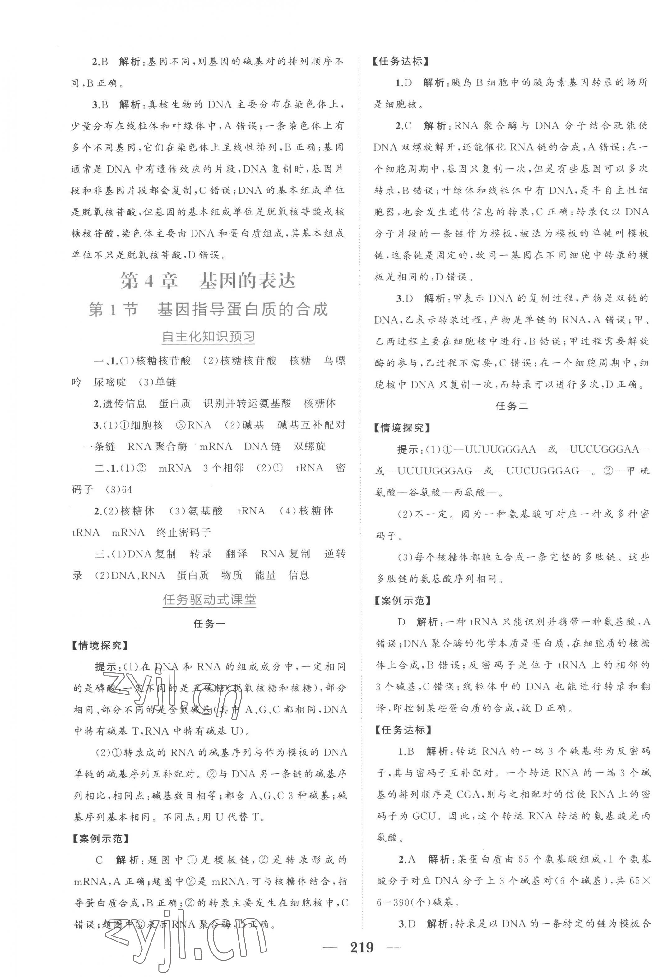 2023年點(diǎn)金訓(xùn)練精講巧練高中生物必修2人教版 第15頁