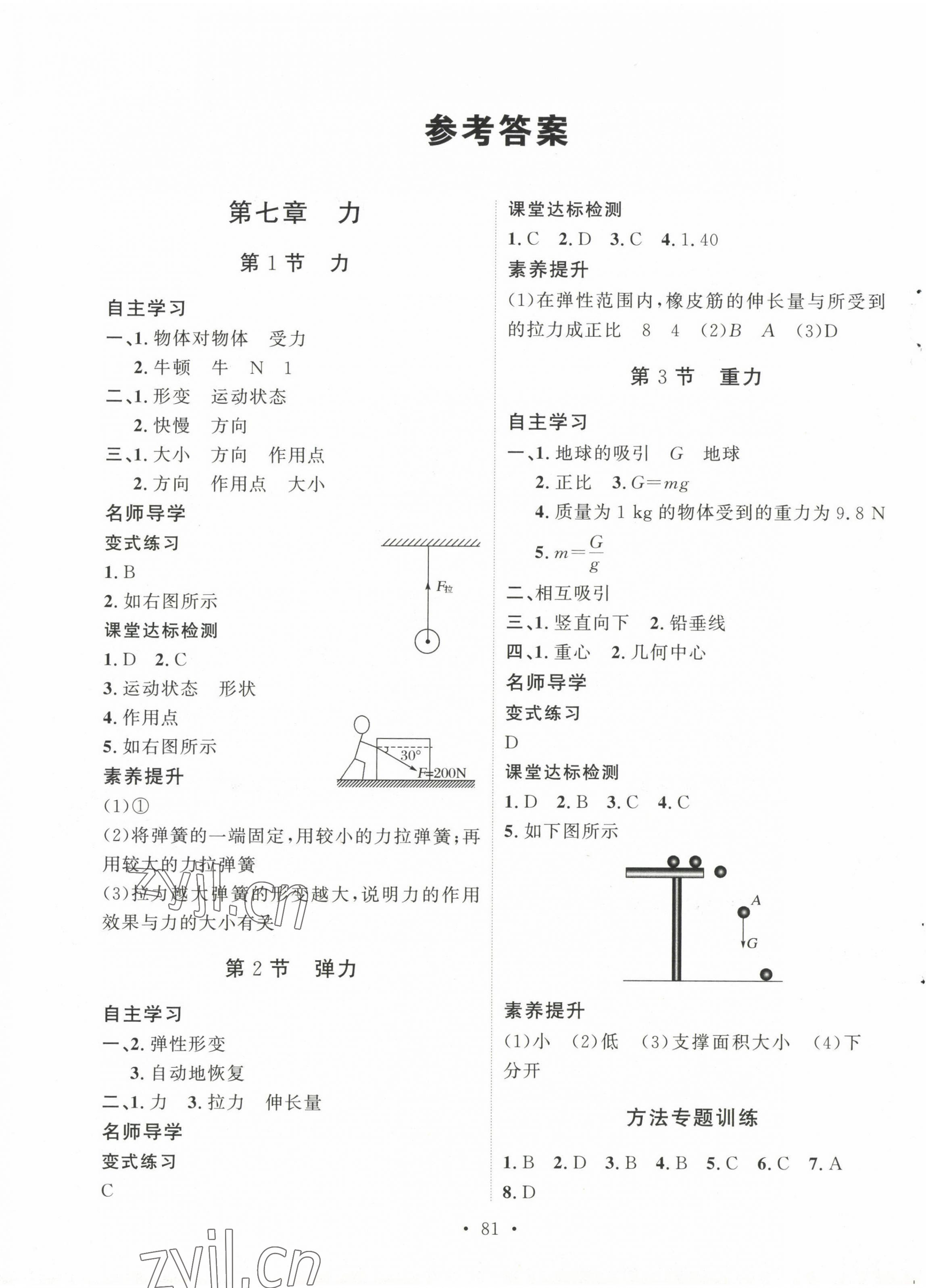 2023年实验教材新学案八年级物理下册人教版 第1页