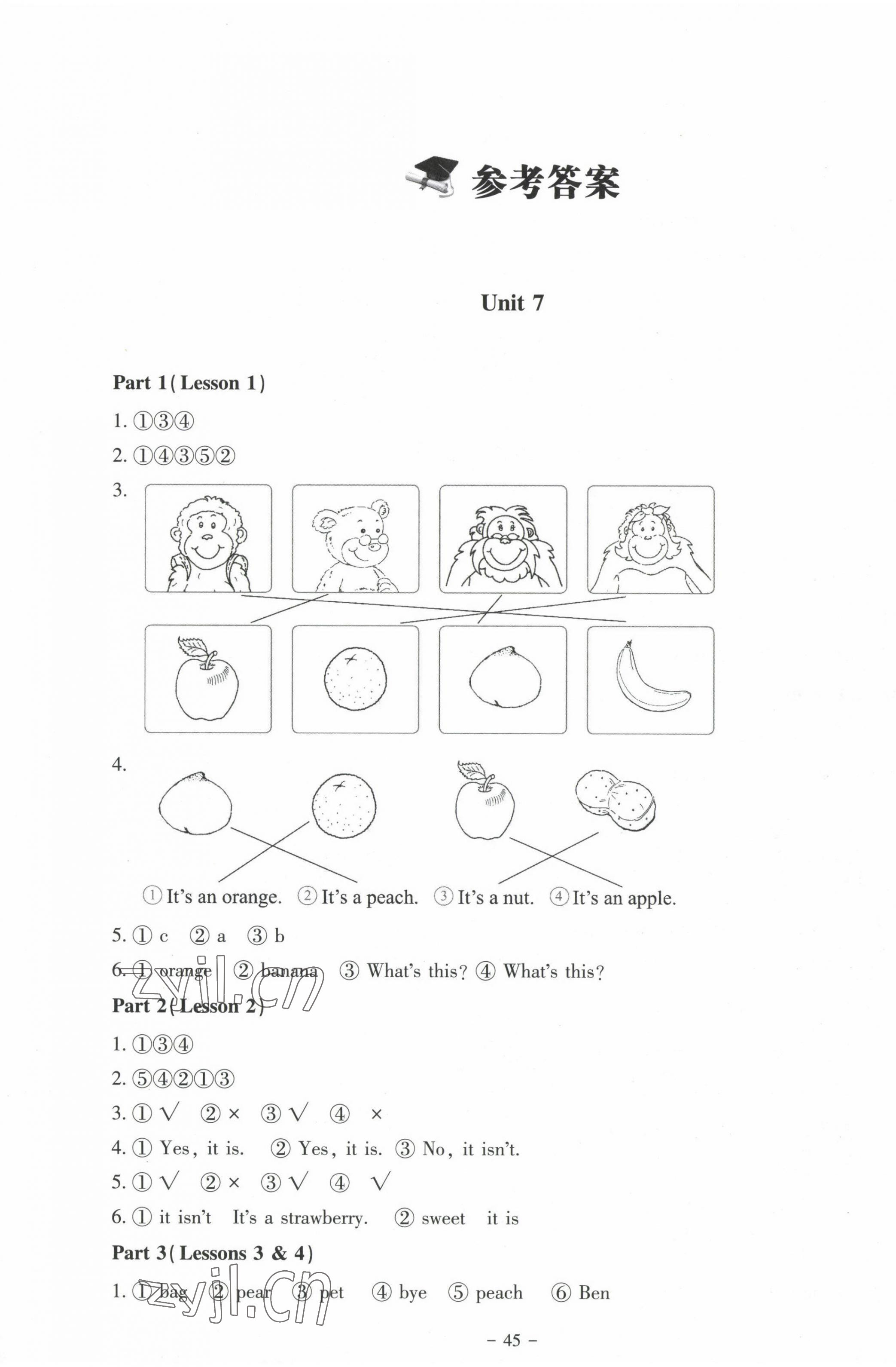 2023年伴你成長北京師范大學出版社三年級英語下冊北師大版河南專版 第1頁