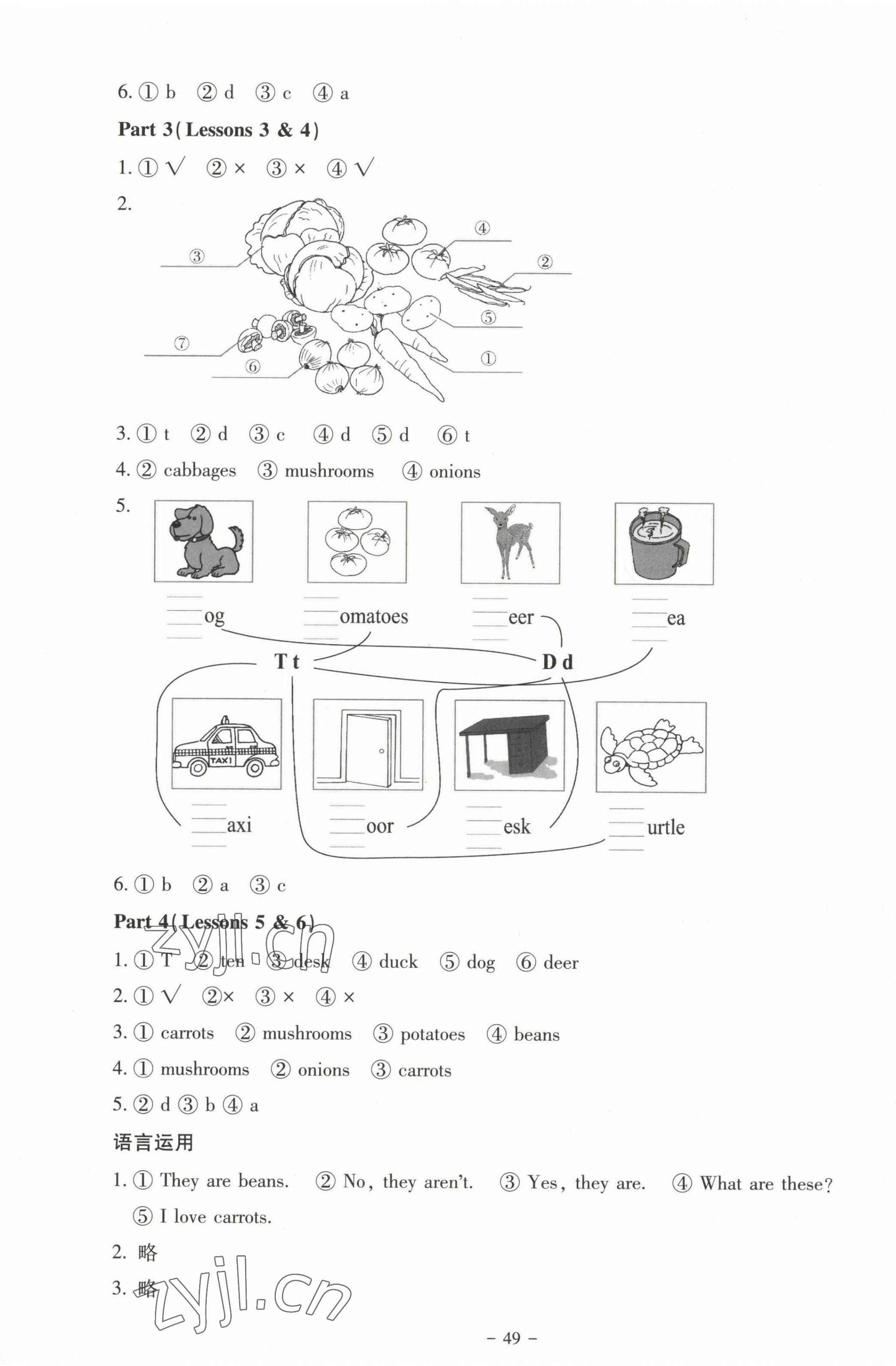 2023年伴你成长北京师范大学出版社三年级英语下册北师大版河南专版 第5页