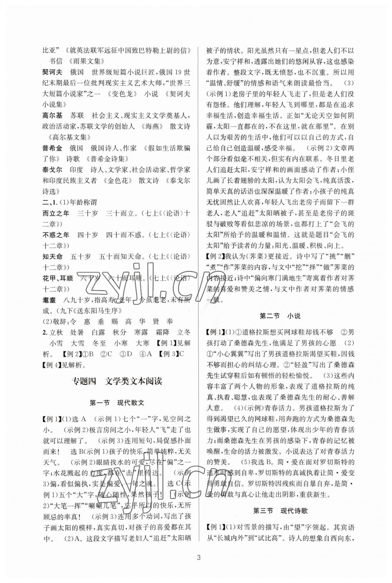 2023年初中學(xué)業(yè)水平考試總復(fù)習(xí)語(yǔ)文 第3頁(yè)