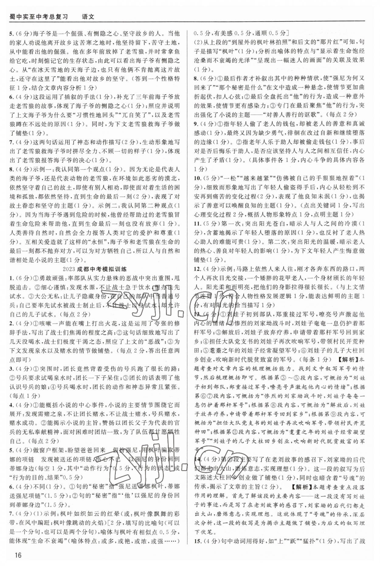 2023年蜀中实质中考总复习语文&nbsp;第16页