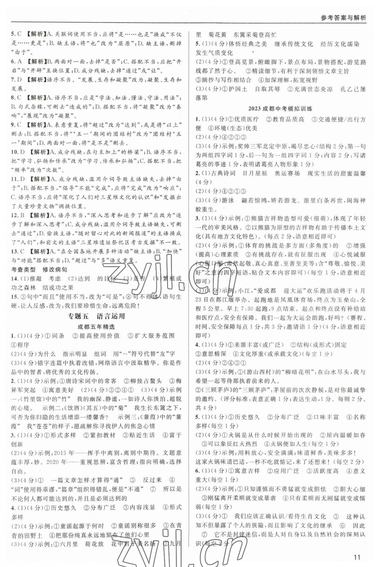 2023年蜀中实质中考总复习语文&nbsp;第11页
