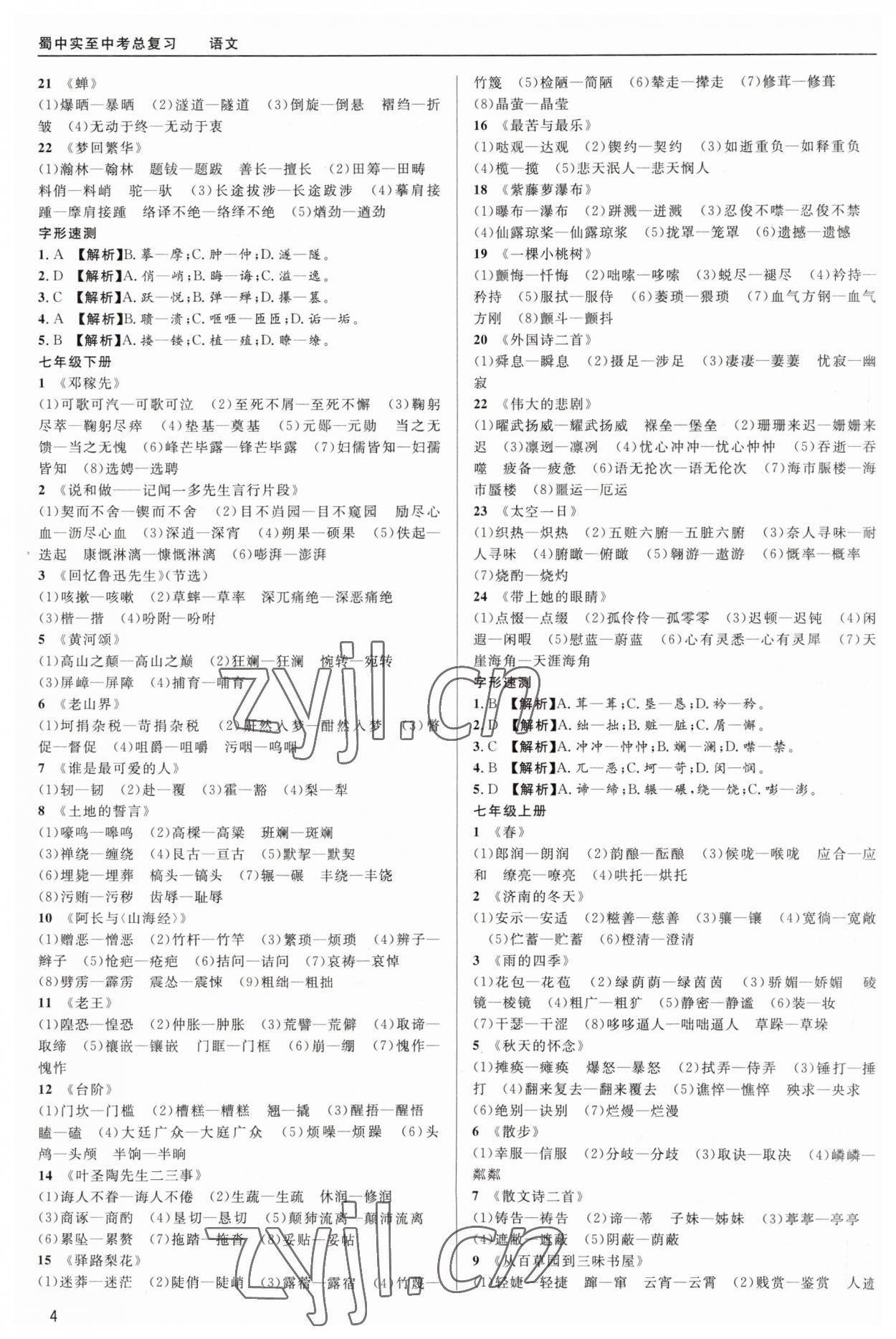 2023年蜀中实质中考总复习语文&nbsp;第4页