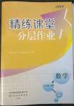 2023年精練課堂分層作業(yè)八年級數(shù)學(xué)下冊人教版臨沂專版