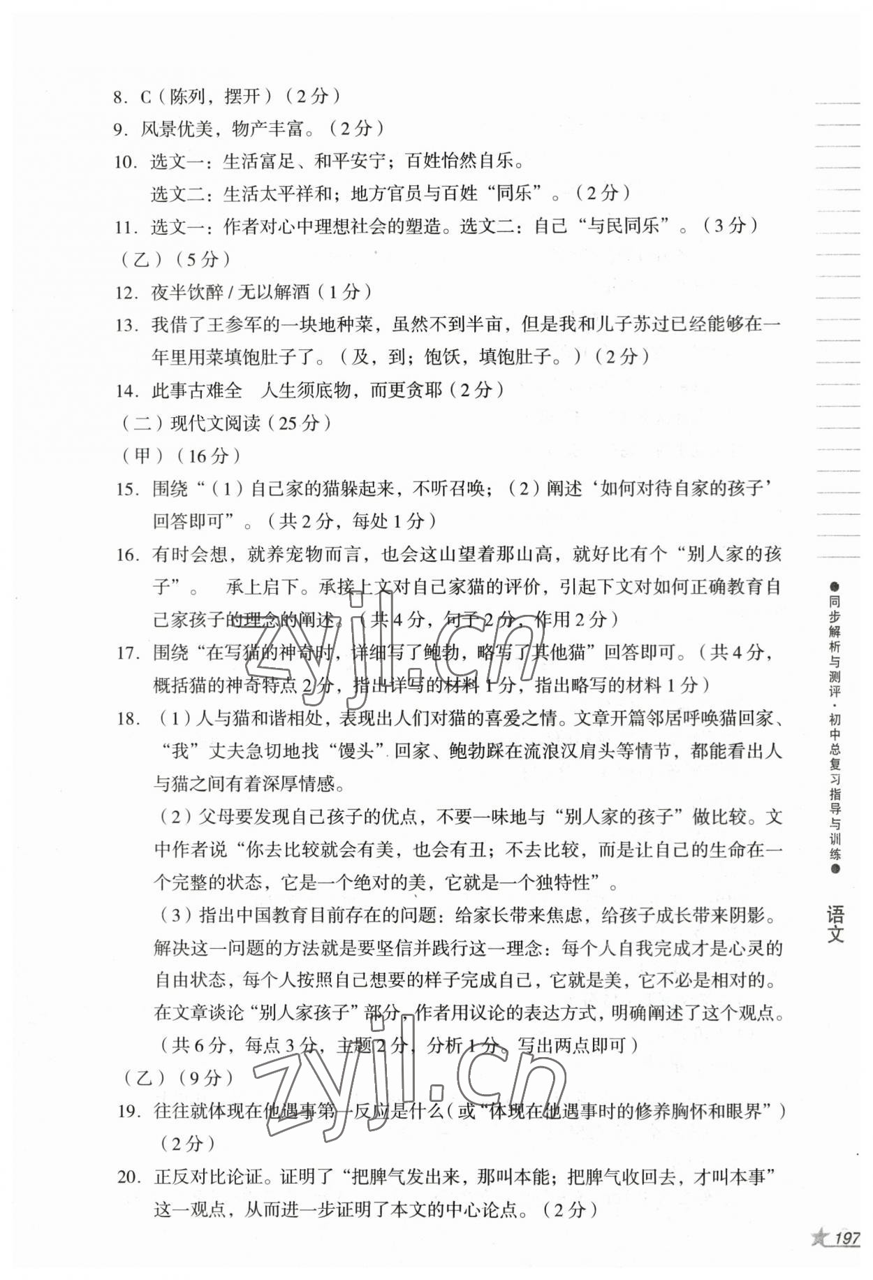 2023年同步解析與測評初中總復(fù)習(xí)指導(dǎo)與訓(xùn)練語文人教版 第5頁