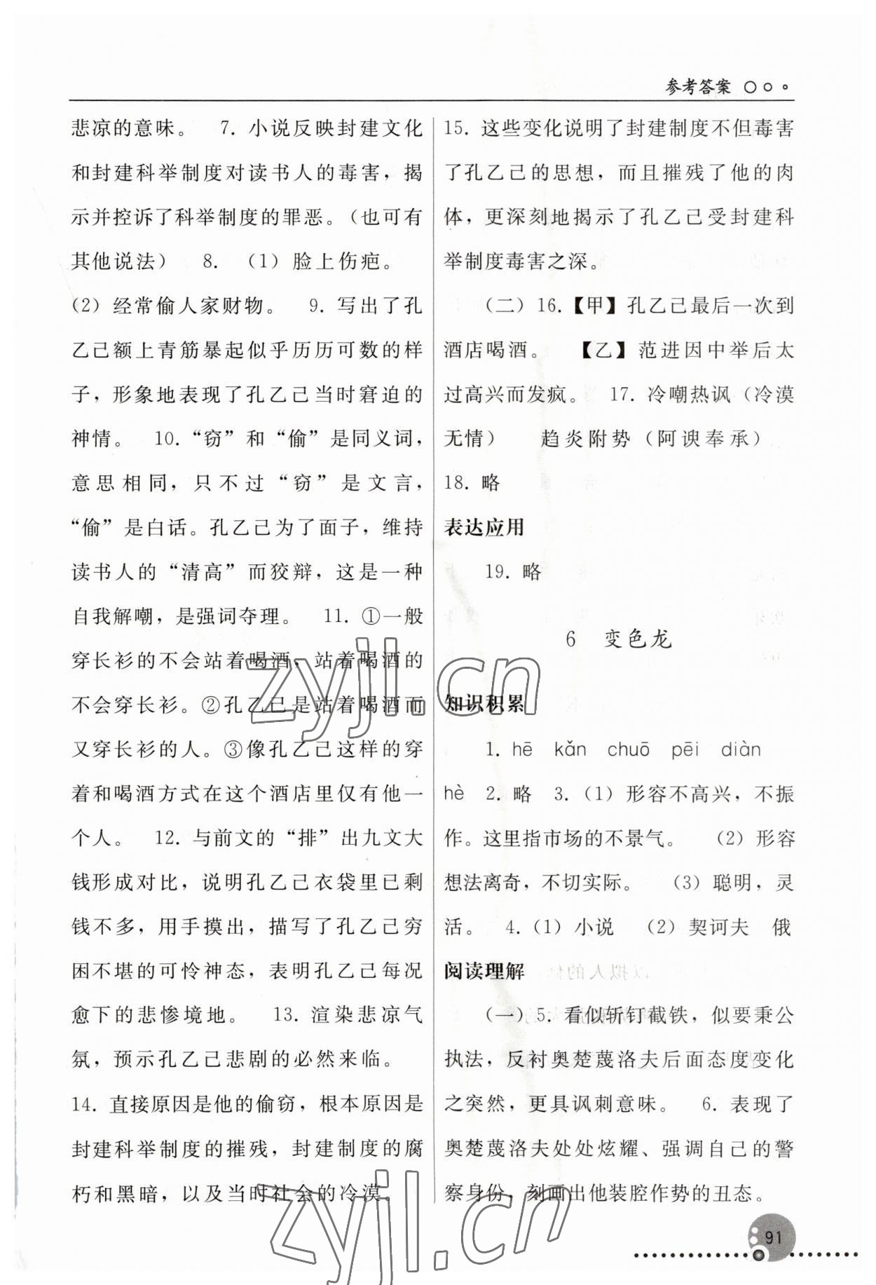 2023年同步練習(xí)冊(cè)人民教育出版社九年級(jí)語(yǔ)文下冊(cè)人教版新疆專版 第5頁(yè)