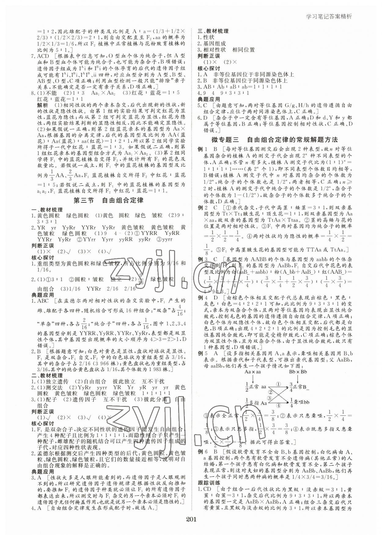 2023年步步高學(xué)習(xí)筆記高中生物必修2蘇教版 參考答案第4頁