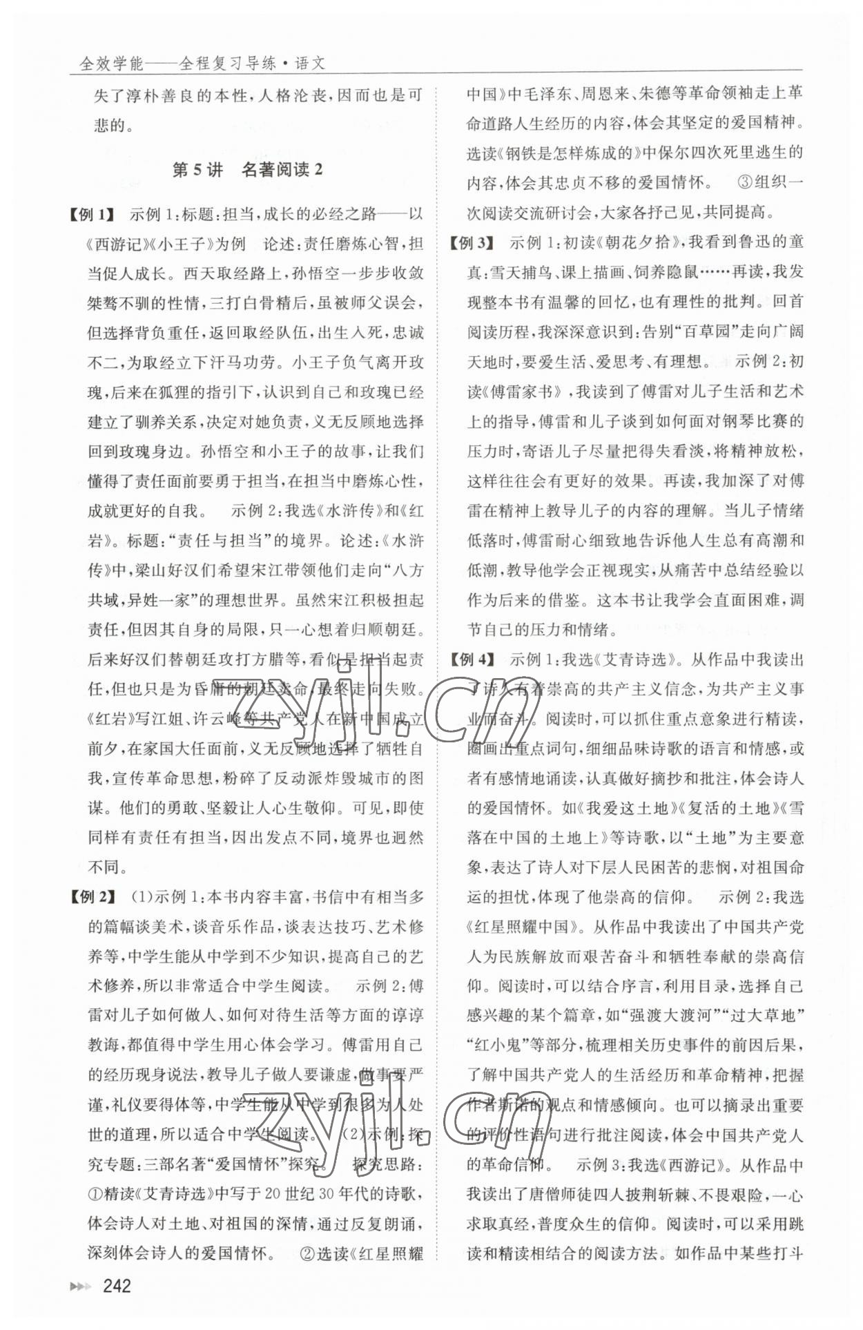 2023年全效學(xué)能全程復(fù)習(xí)導(dǎo)練中考語(yǔ)文 第8頁(yè)