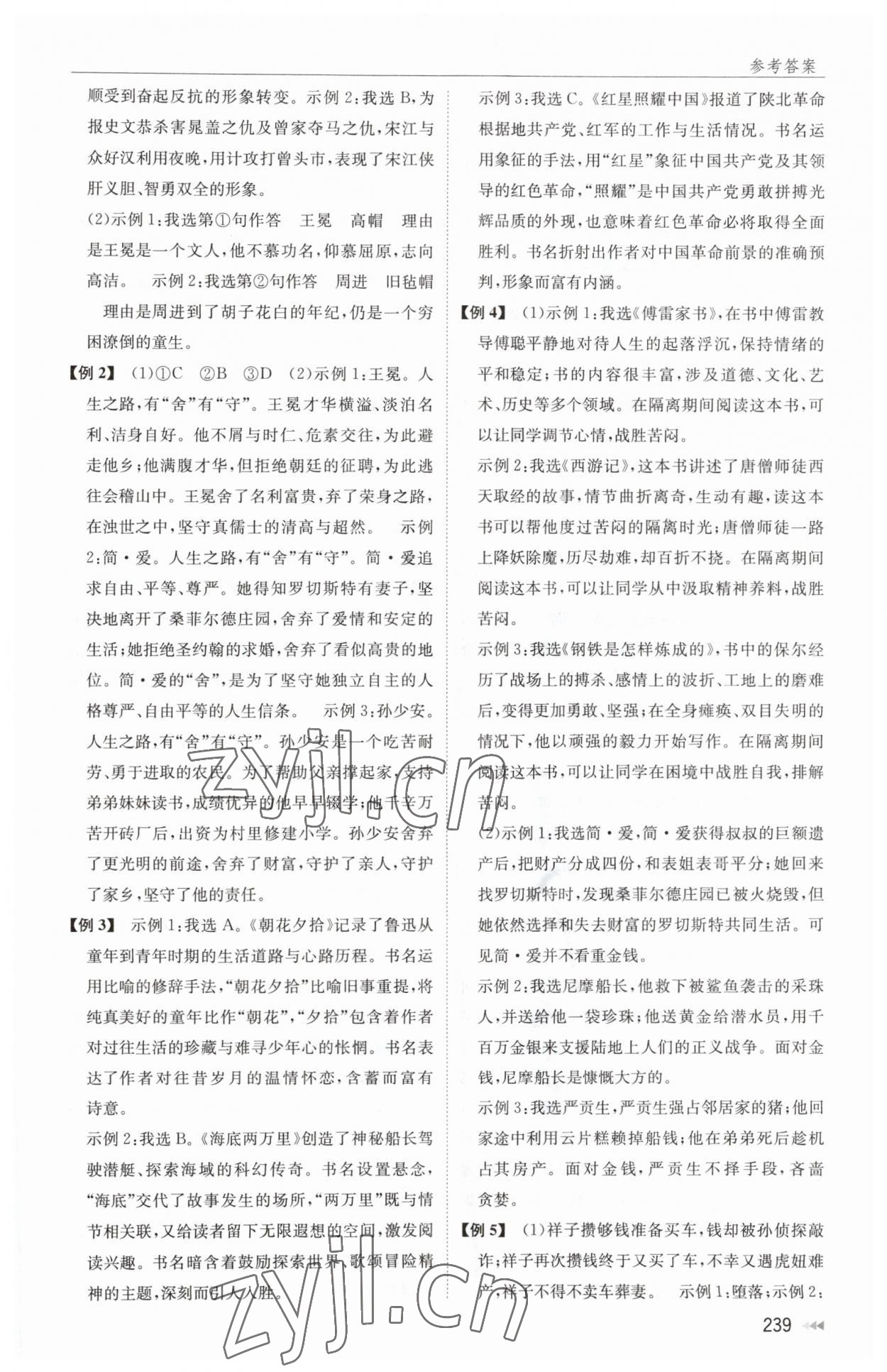 2023年全效學(xué)能全程復(fù)習(xí)導(dǎo)練中考語文 第5頁