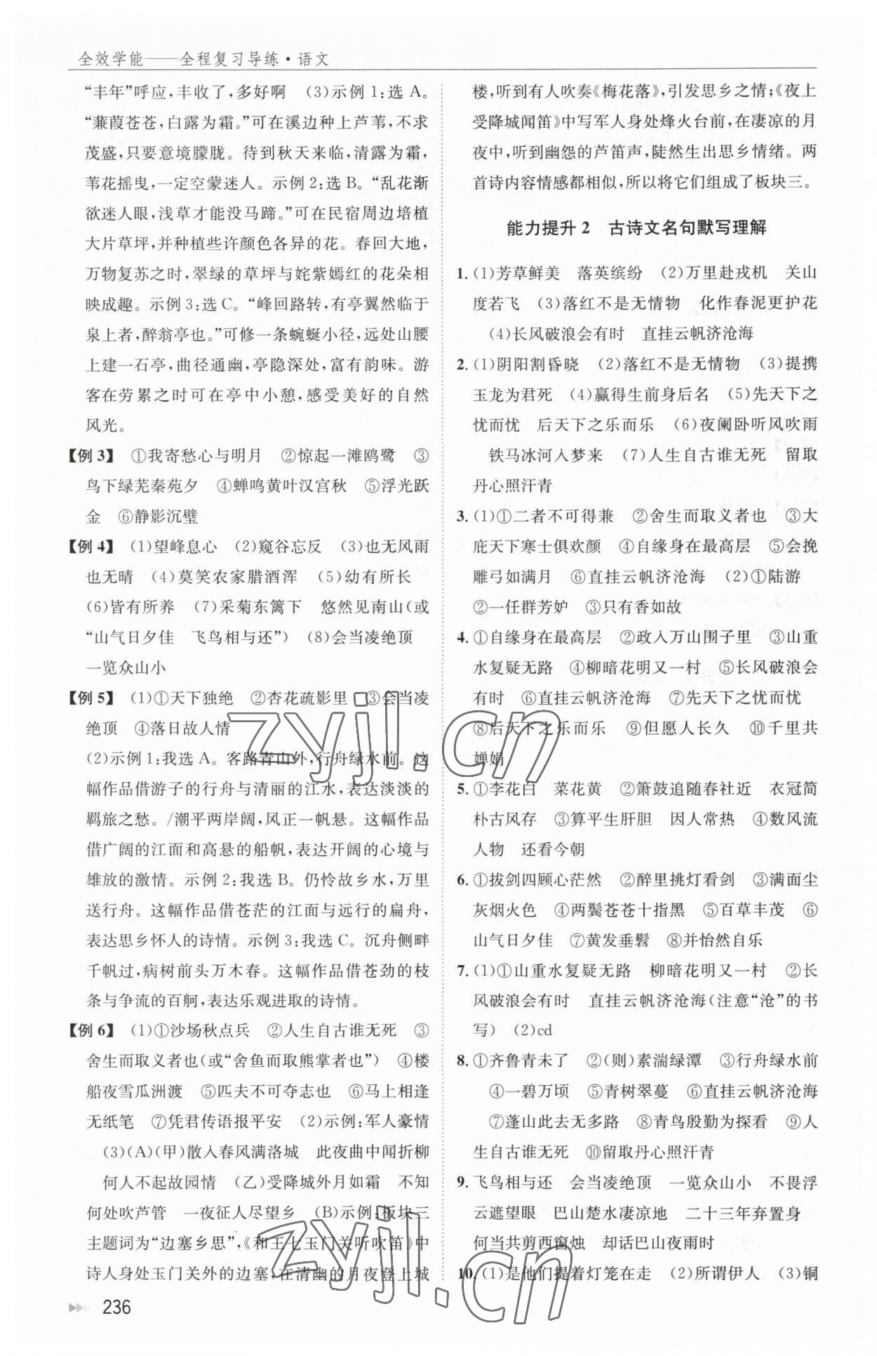 2023年全效學(xué)能全程復(fù)習(xí)導(dǎo)練中考語(yǔ)文 第2頁(yè)