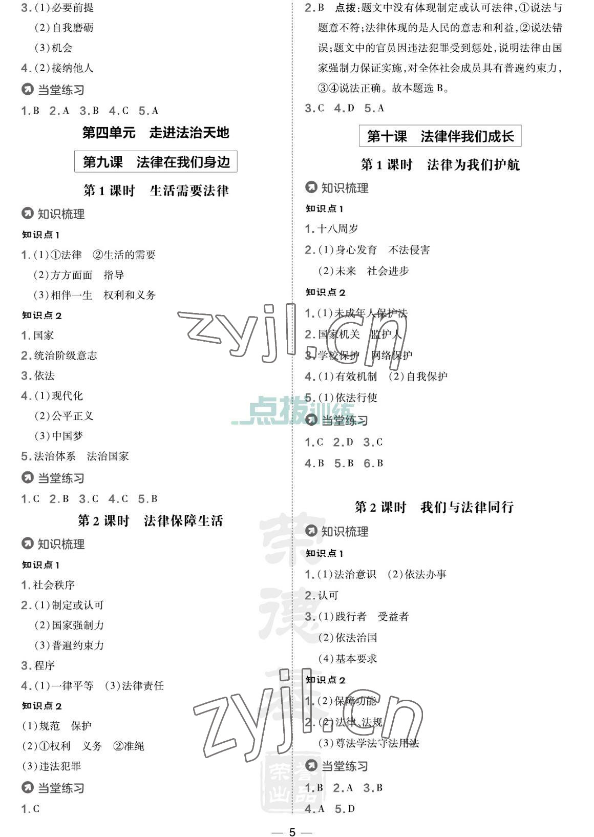 2023年點撥訓練七年級道德與法治下冊人教版海南專版 參考答案第5頁