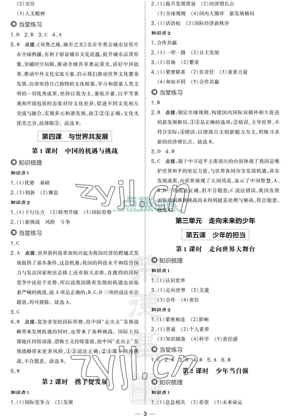 2023年點撥訓練九年級道德與法治下冊人教版海南專版 參考答案第3頁