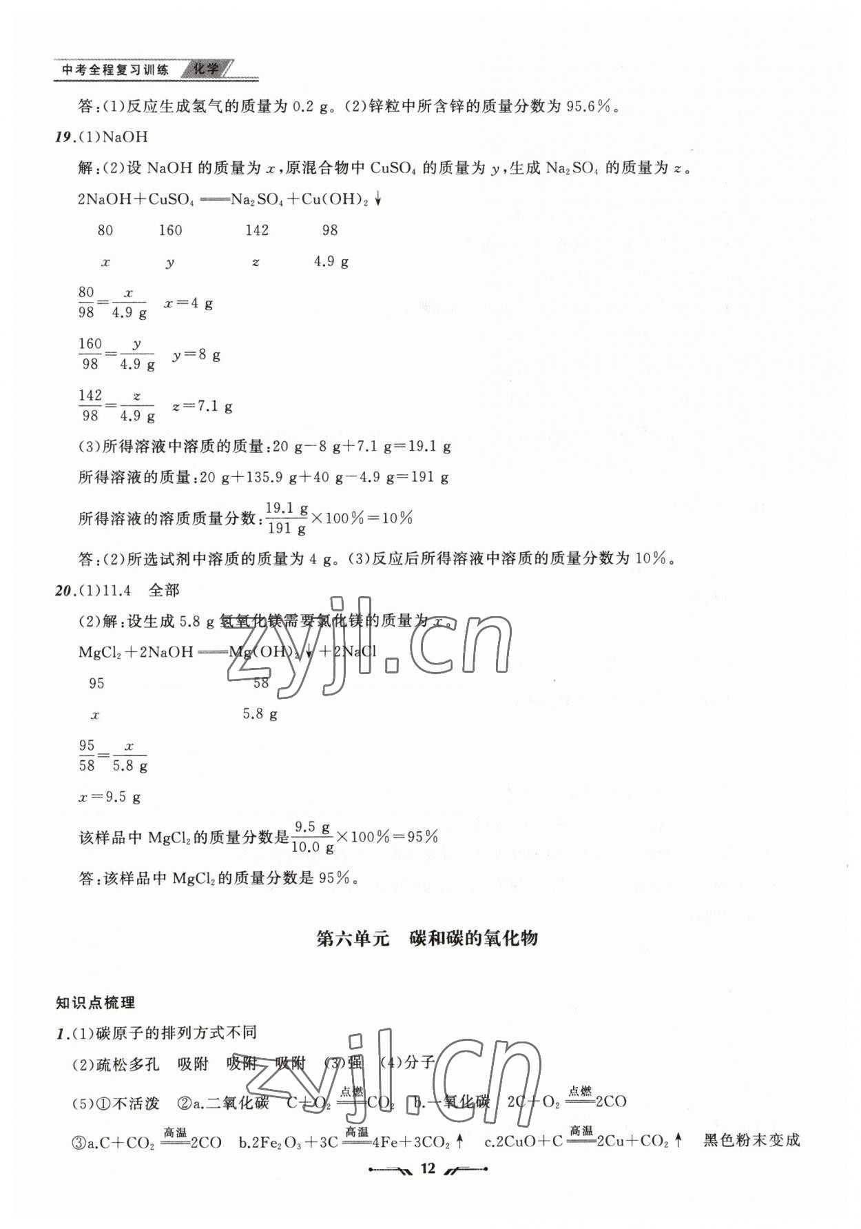 2023年中考全程復(fù)習(xí)訓(xùn)練化學(xué)錦州專版 第12頁