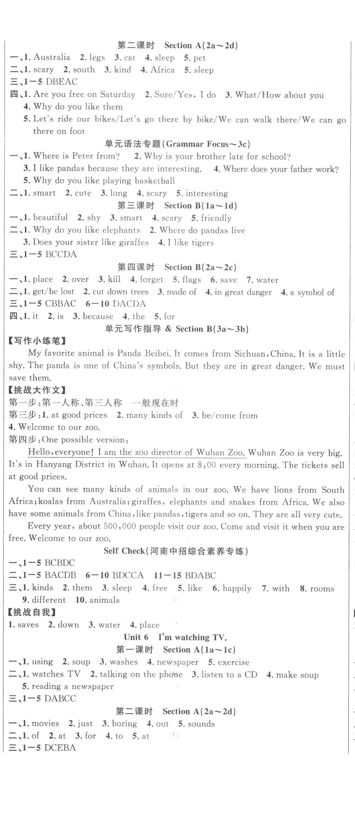 2023年课时夺冠七年级英语下册人教版河南专版 第5页