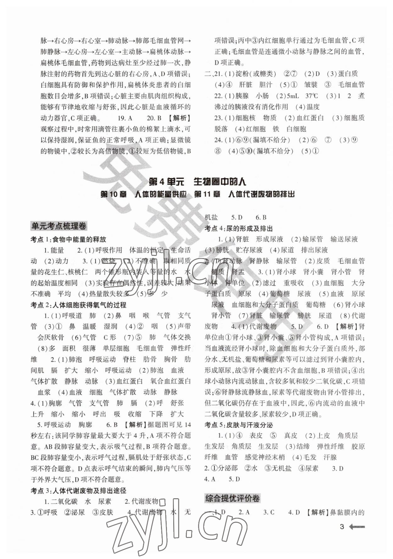 2023年節(jié)節(jié)高大象出版社七年級生物下冊北師大版 參考答案第3頁