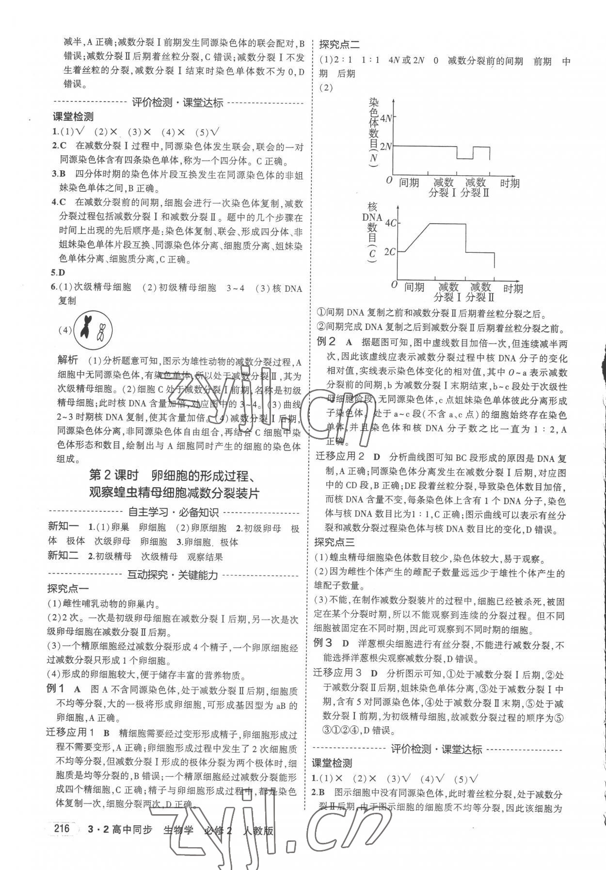 2023年3年高考2年模擬高中生物必修2人教版 第6頁(yè)