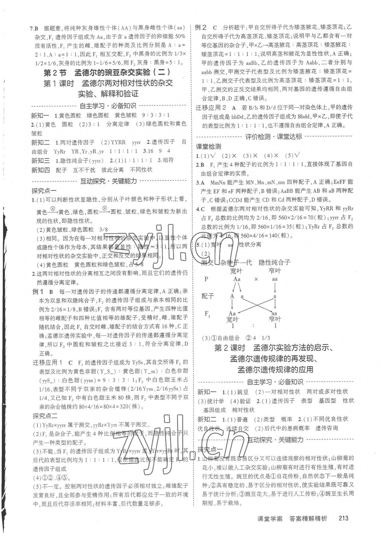 2023年3年高考2年模擬高中生物必修2人教版 第3頁