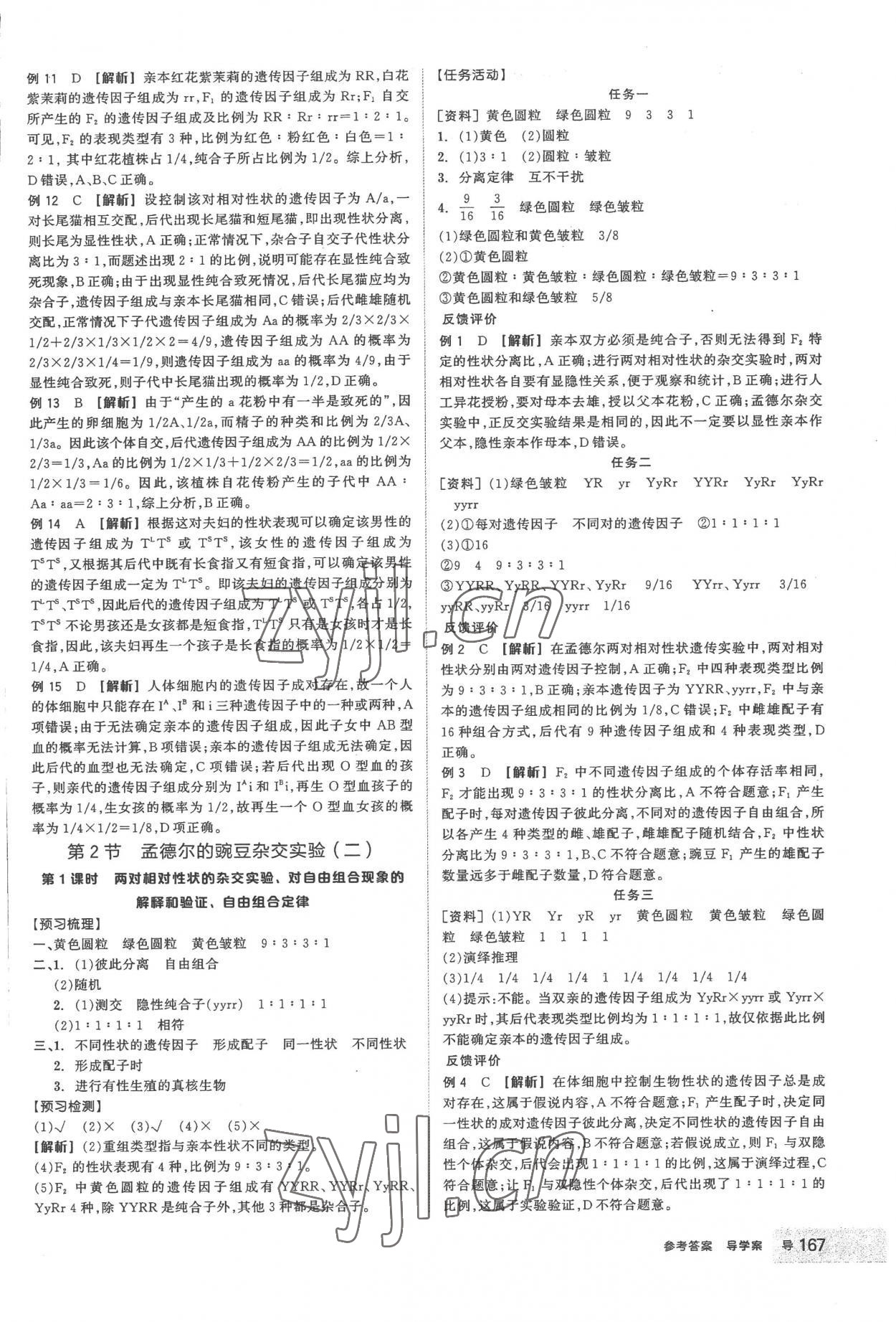 2023年全品學(xué)練考高中生物必修2人教版 第3頁