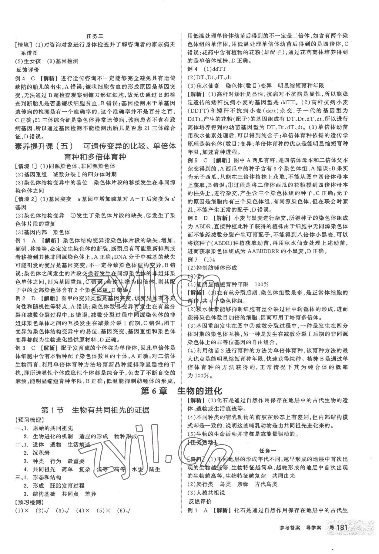 2023年全品學練考高中生物必修2人教版 第17頁