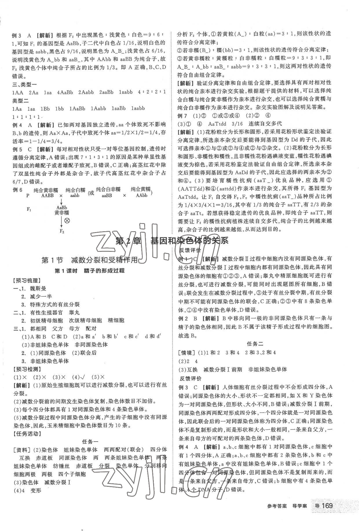 2023年全品學(xué)練考高中生物必修2人教版 第5頁(yè)