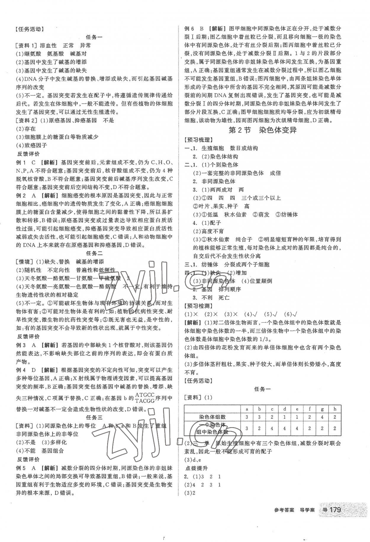 2023年全品學練考高中生物必修2人教版 第15頁