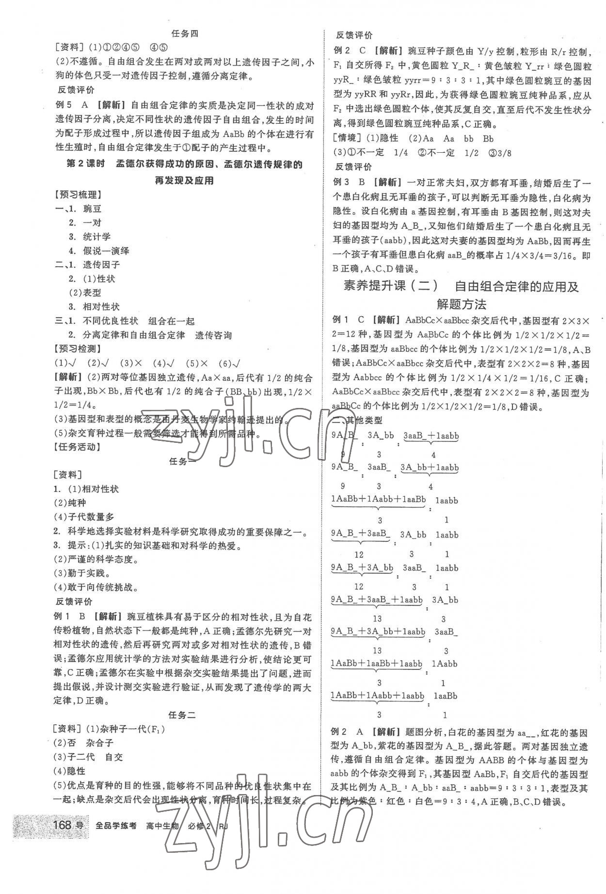 2023年全品學(xué)練考高中生物必修2人教版 第4頁