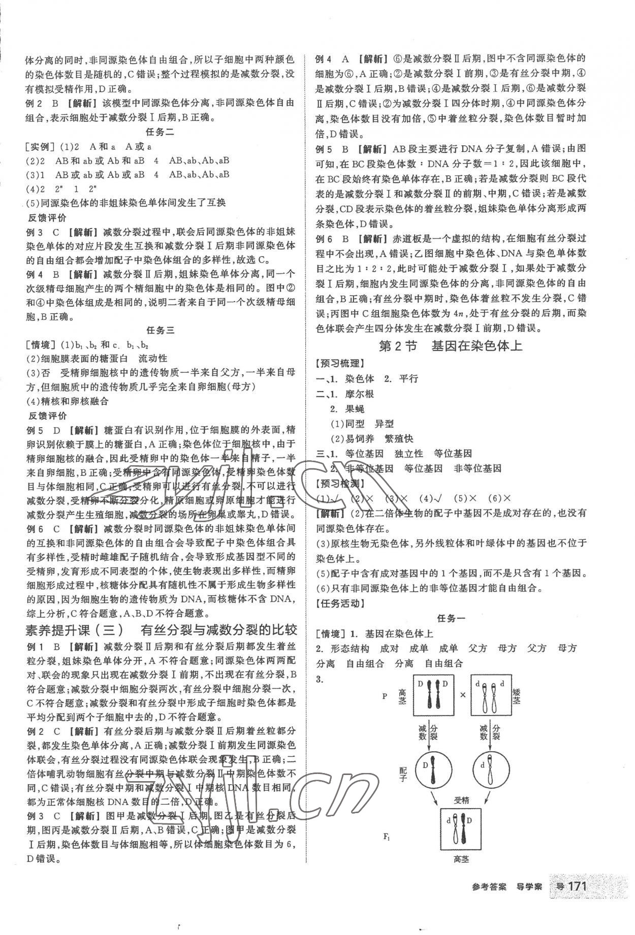 2023年全品學(xué)練考高中生物必修2人教版 第7頁