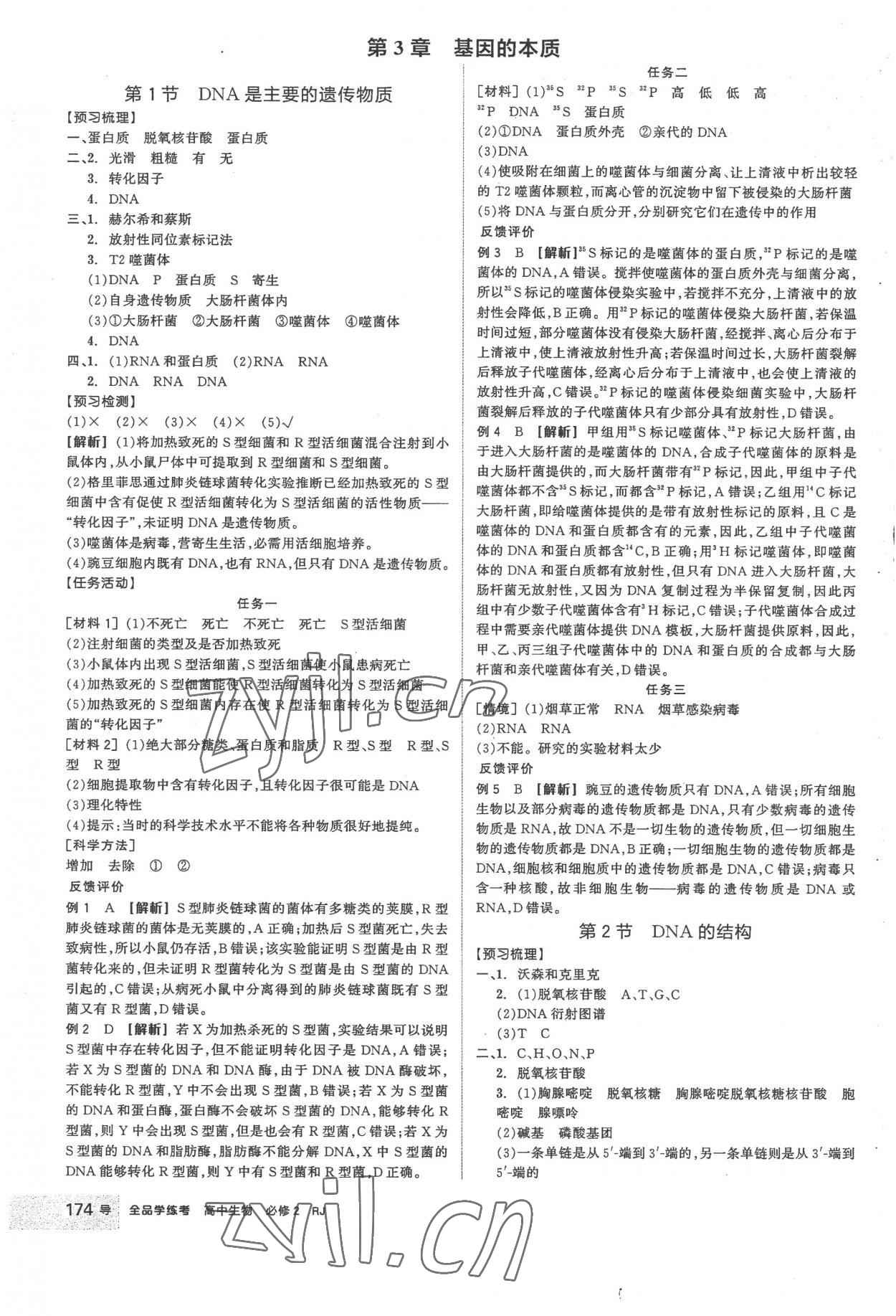 2023年全品學練考高中生物必修2人教版 第10頁