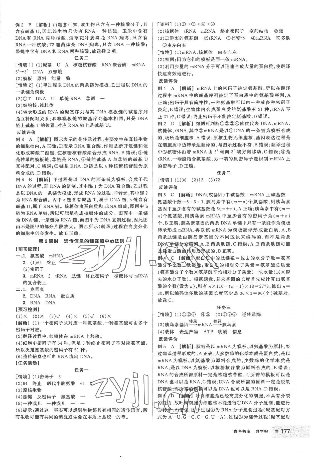 2023年全品學(xué)練考高中生物必修2人教版 第13頁(yè)