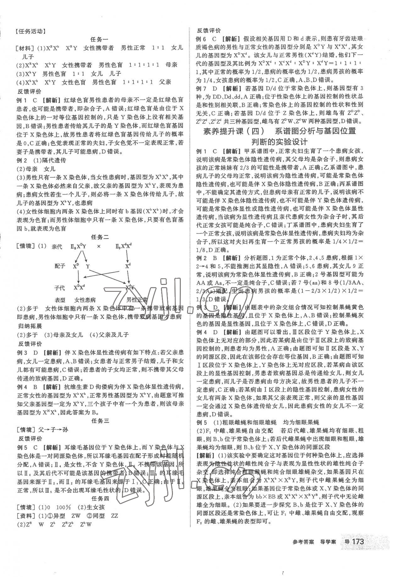 2023年全品學(xué)練考高中生物必修2人教版 第9頁