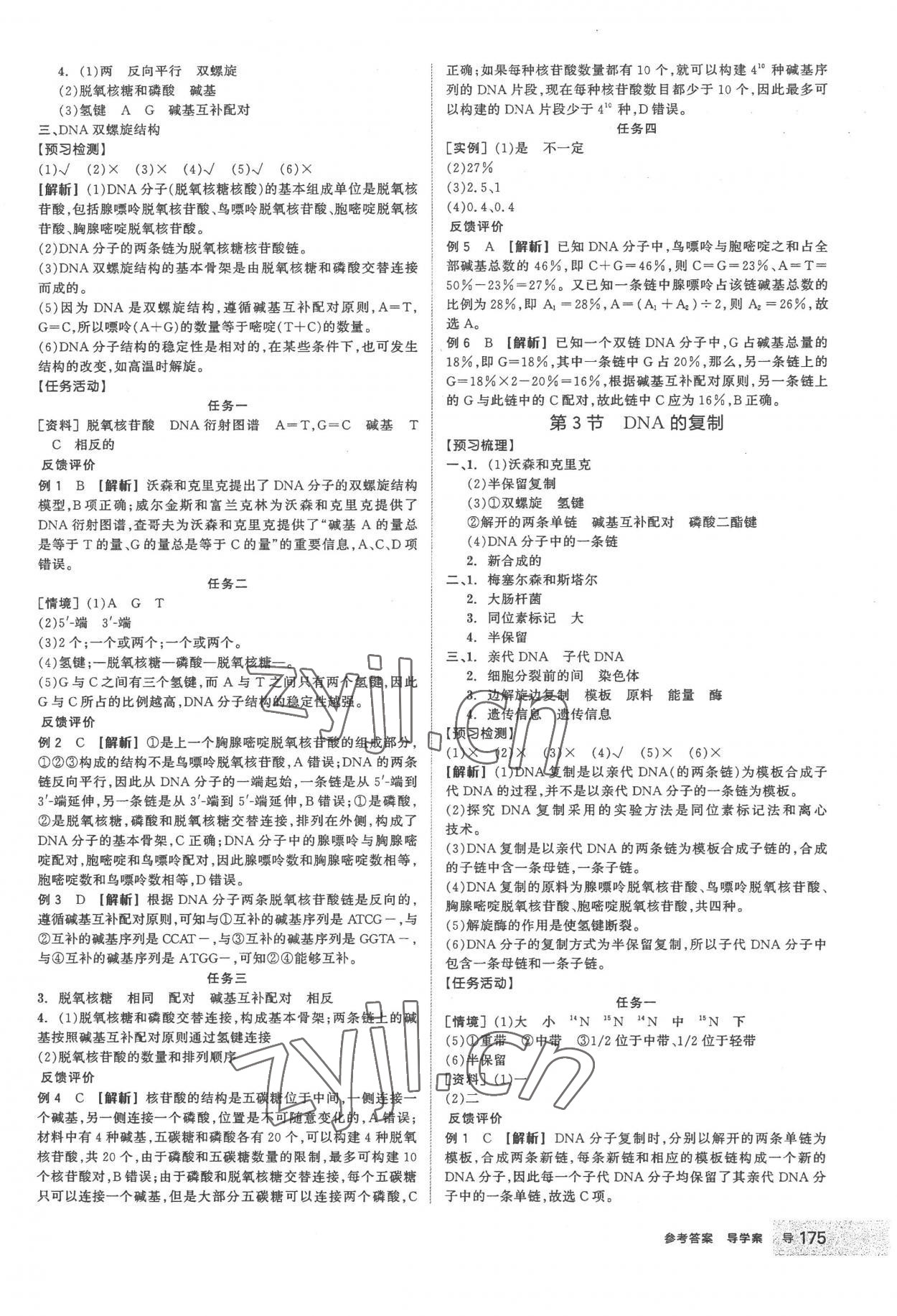 2023年全品學(xué)練考高中生物必修2人教版 第11頁